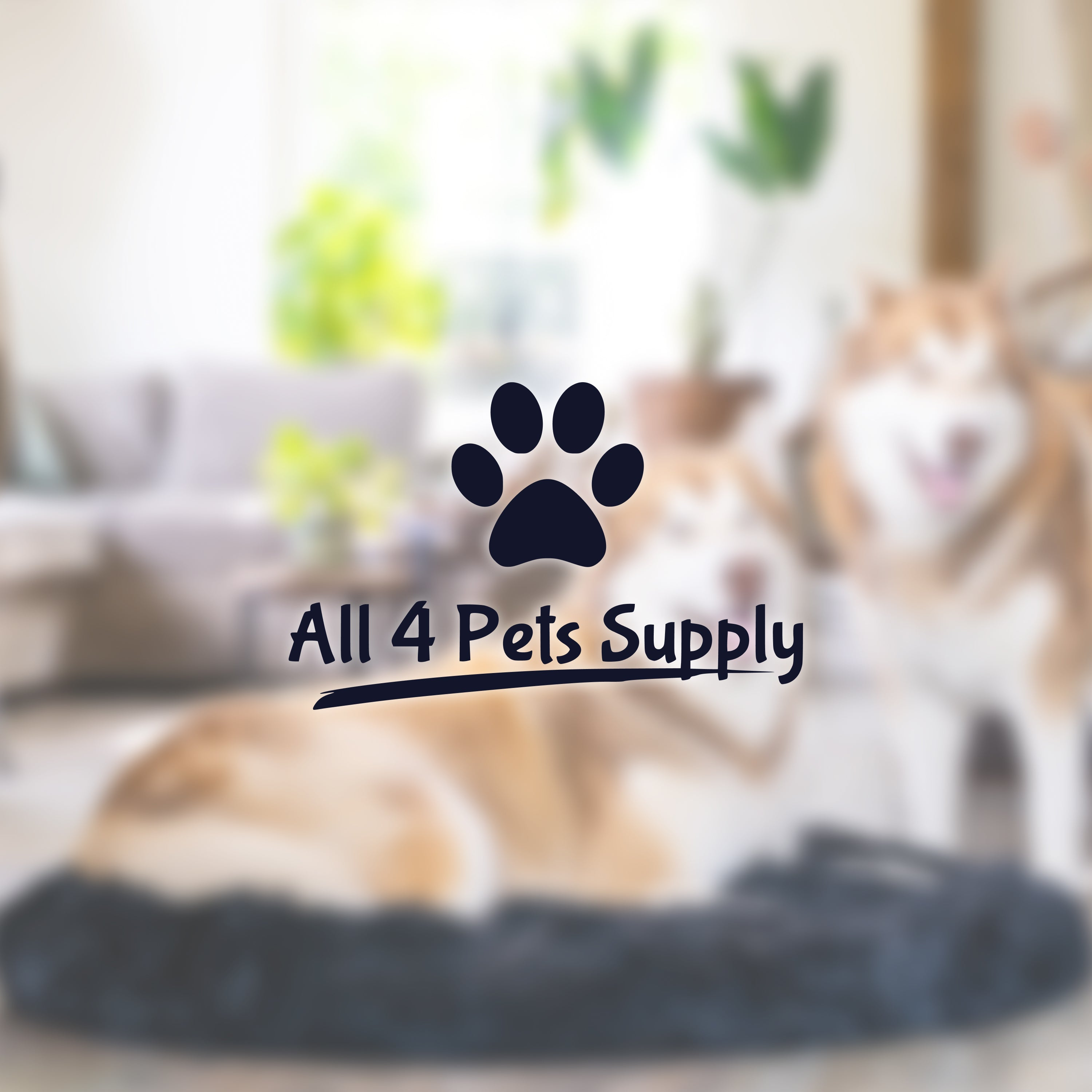 A dog bed with a dog lying on it. The text 'All 4 Pets Supply' is visible.