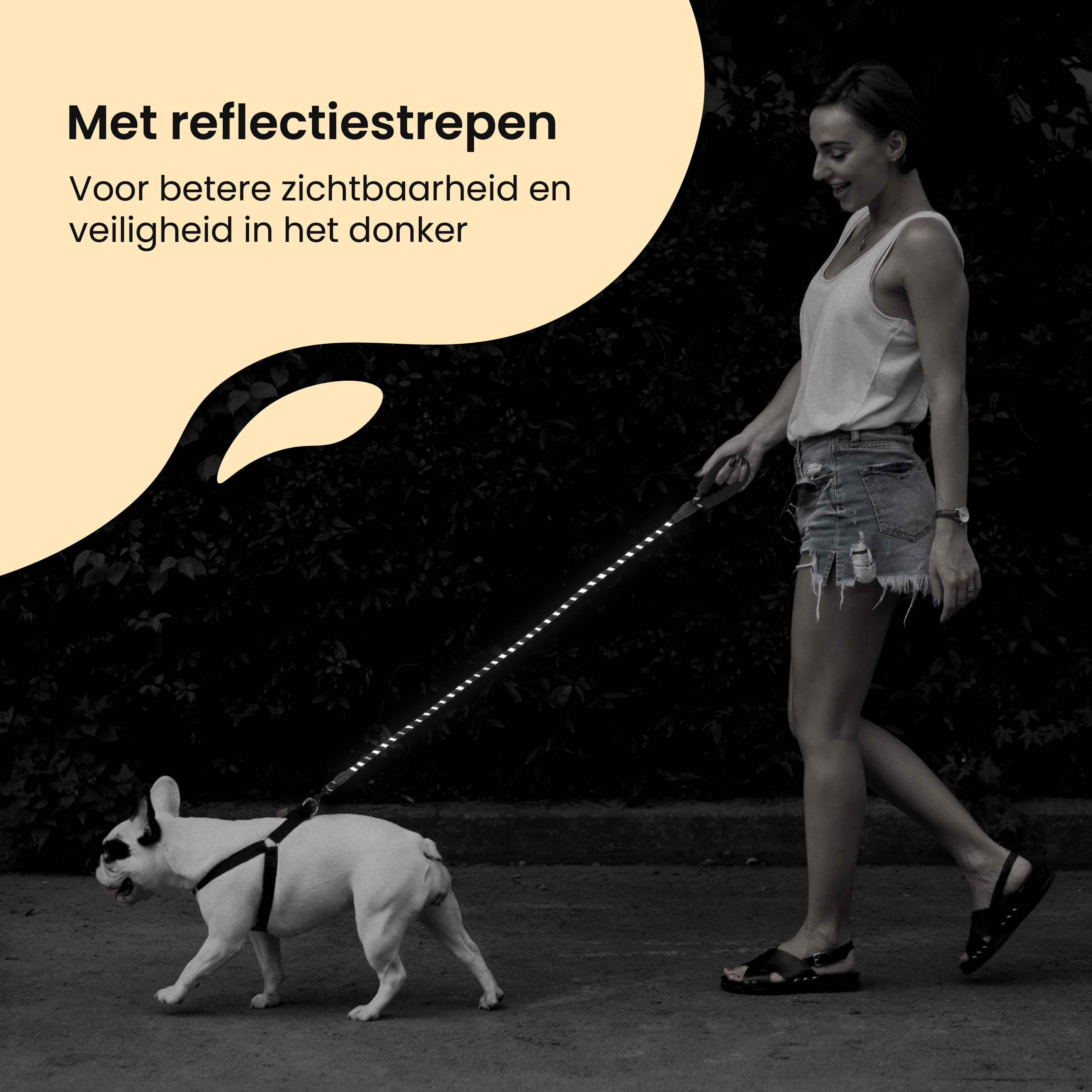 Woman walking dog with reflective leash on a dark path.