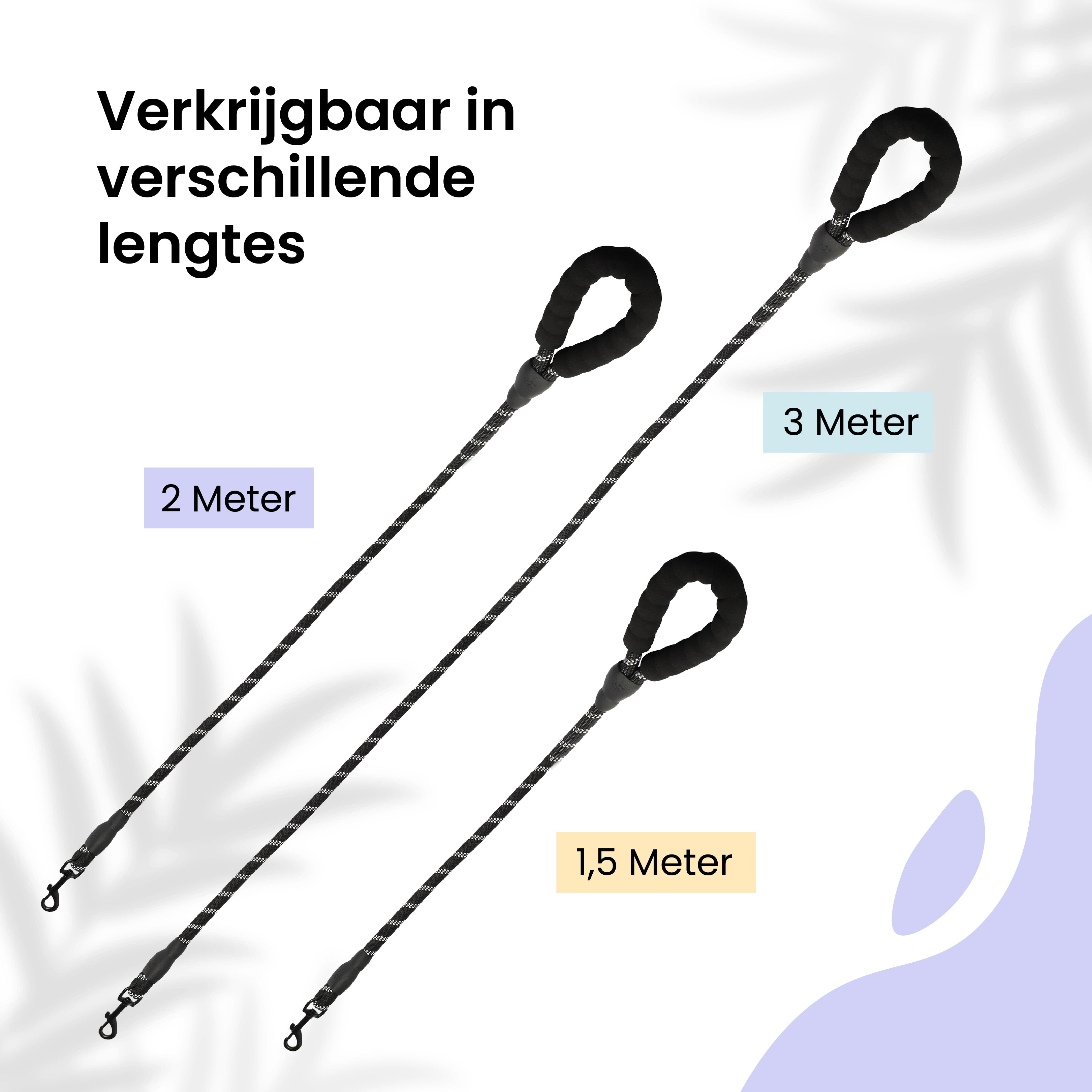 Dog leashes in three different lengths.