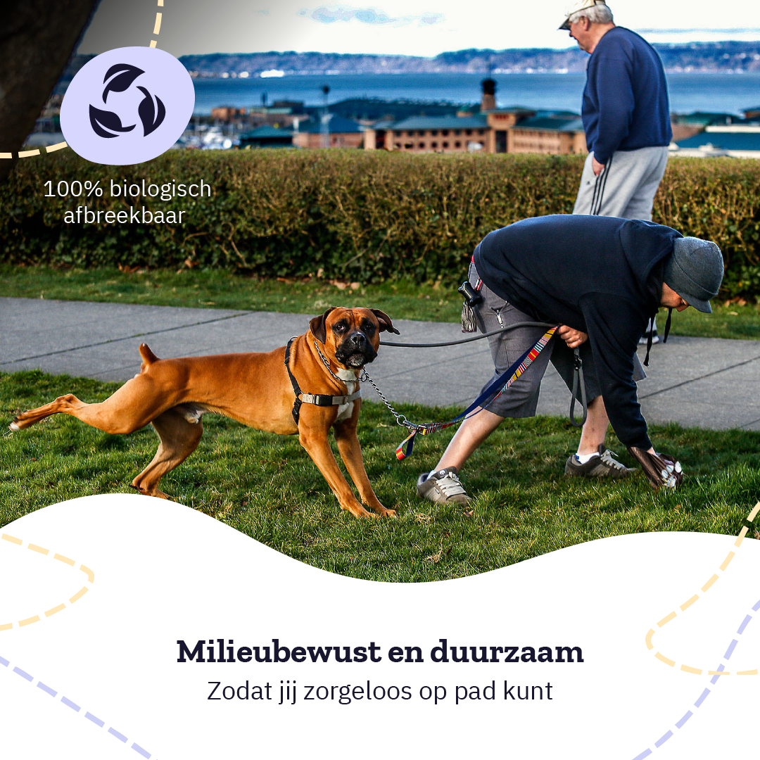 Person sammelt Hundekot auf Gras ein, Hund an der Leine, Text über biologisch abbaubare Tüten.
