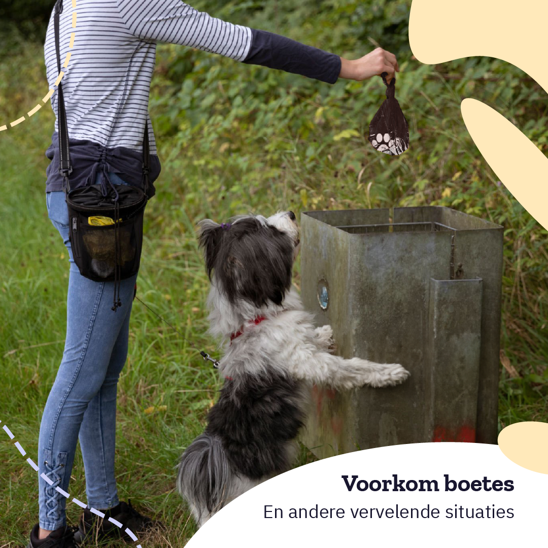 Eine Person hält eine Tüte mit Hundekot. Ein Hund schaut nach oben. Ein Mülleimer ist im Hintergrund.