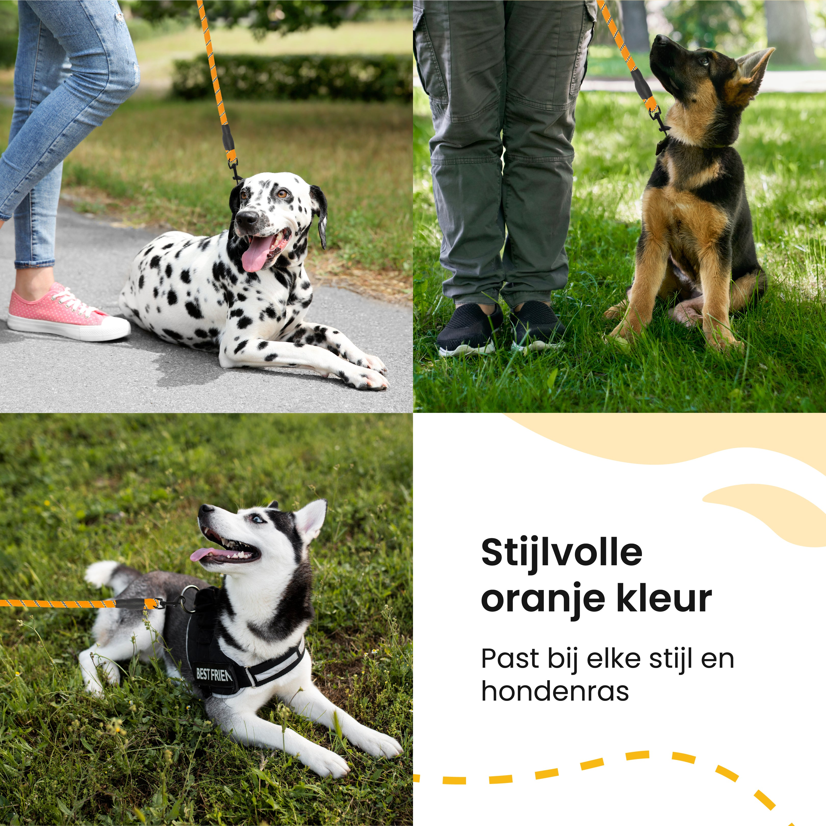 Four images with dogs on leashes, with text about orange color and stylish design for any dog breed.