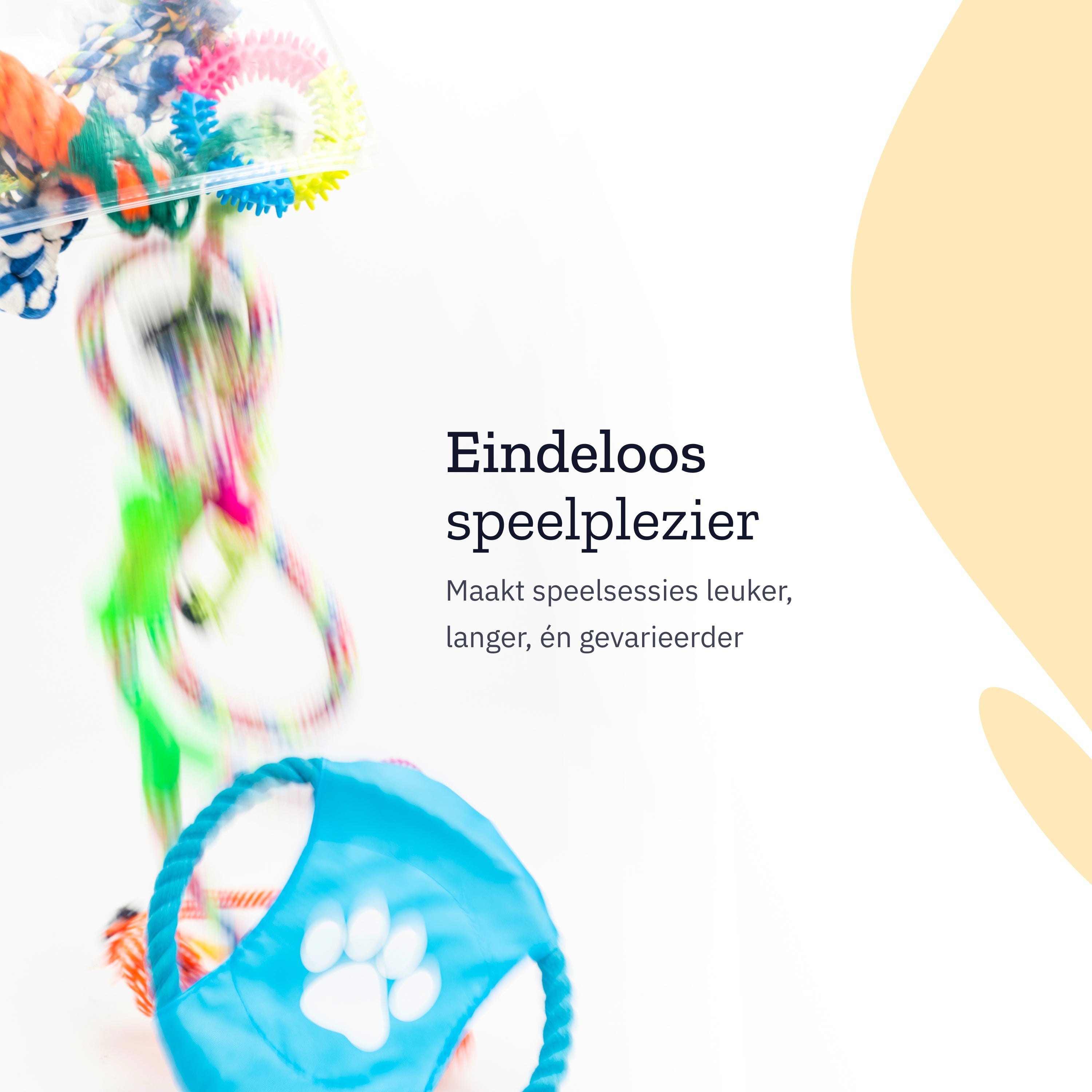 Overhead view of colorful pet toys, with text in Dutch, on a white background.