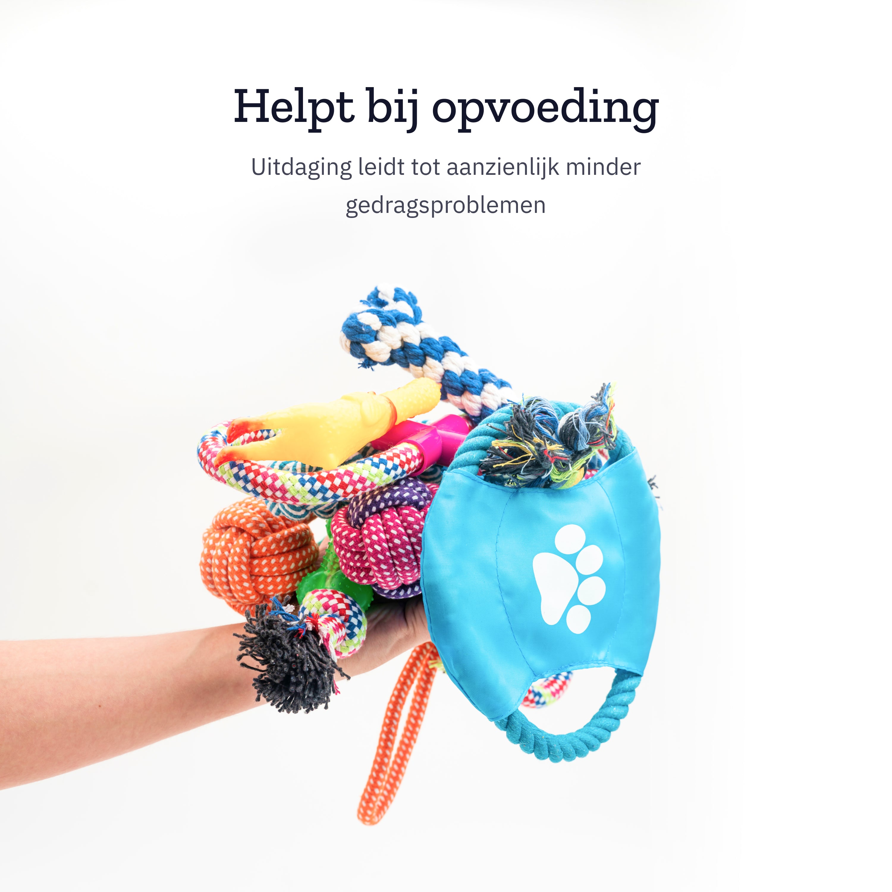 Hand holding assorted colorful dog toys.