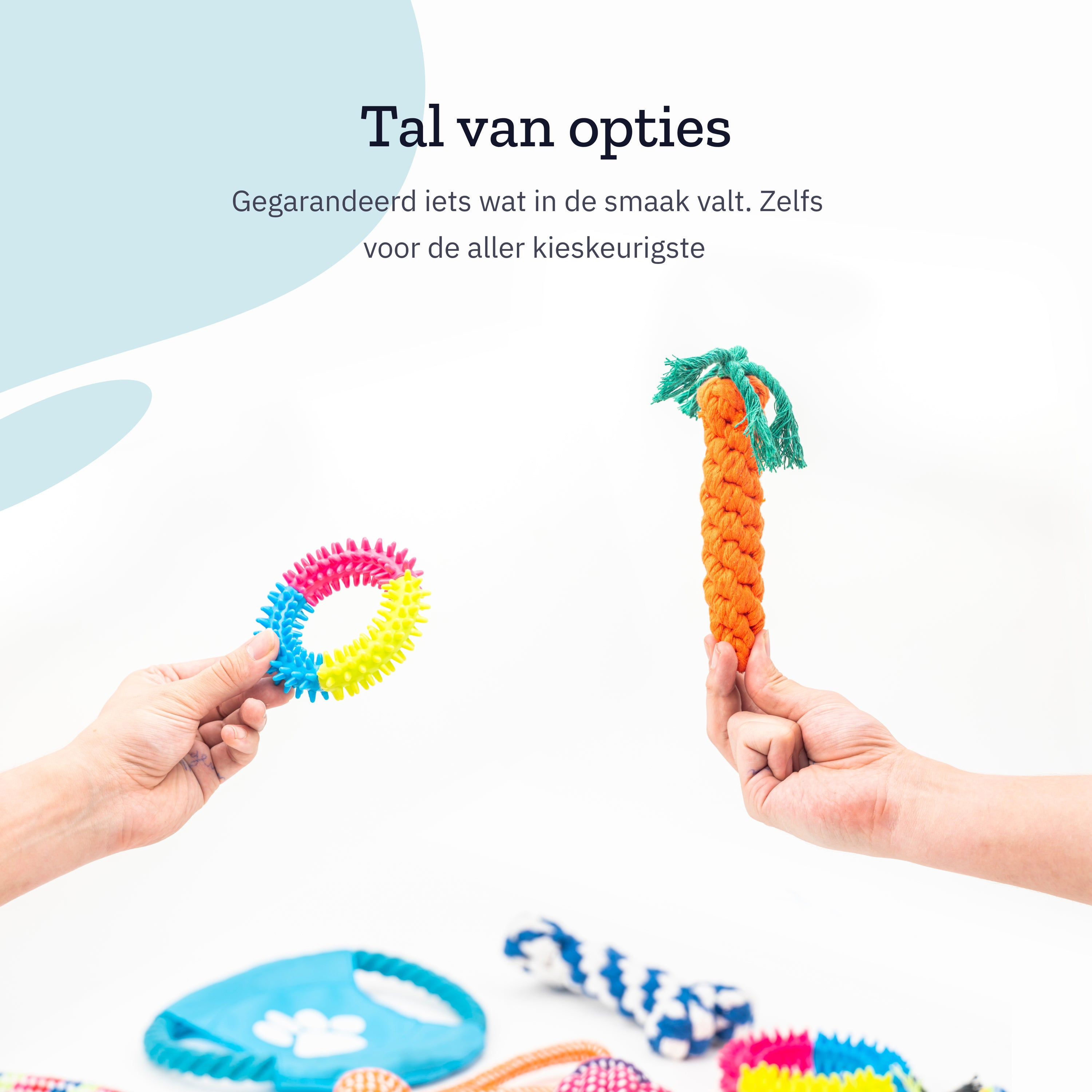 Hands holding various dog toys: ring, carrot-shaped toy, and bone-shaped toy.