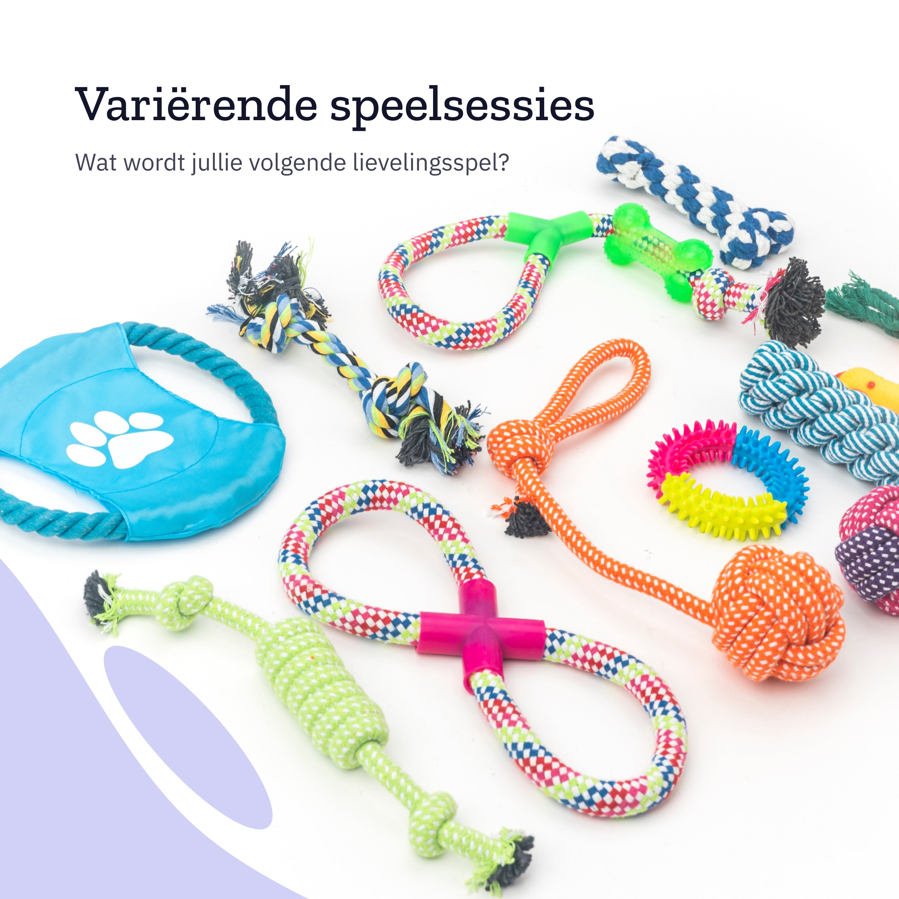 Various dog toys on a white surface. The toys are colorful and have different shapes. Some are blue.