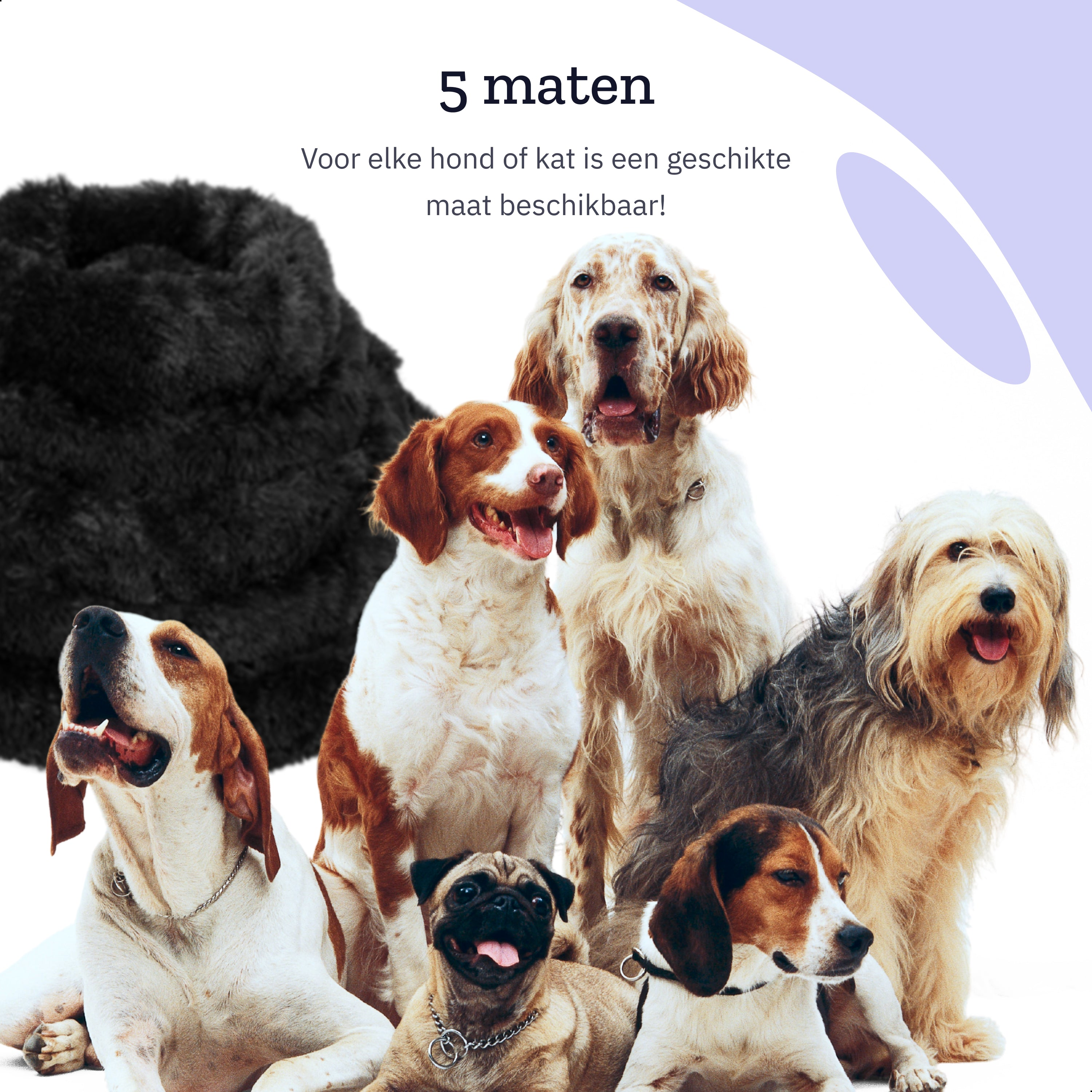 Group of dogs, various breeds, with text in Dutch. Black fur item is shown on top-left corner.
