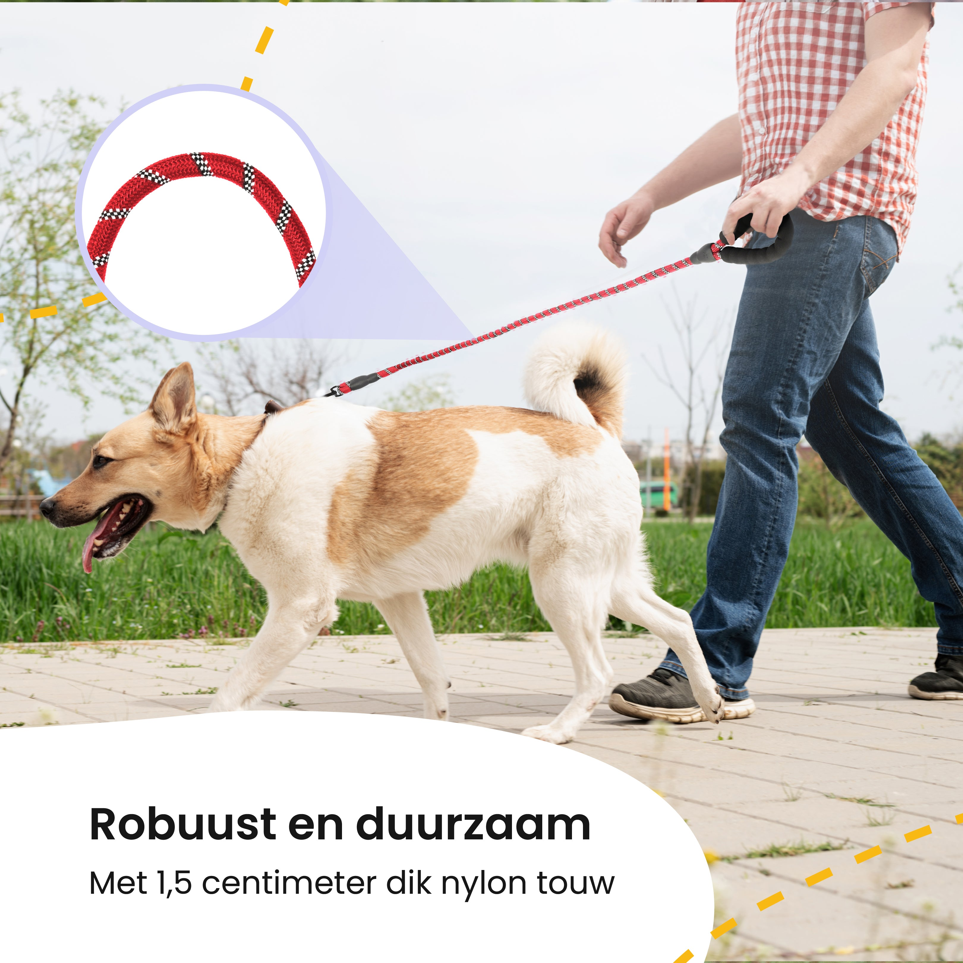 Dog on a leash being walked. Red and white leash with a magnified view.