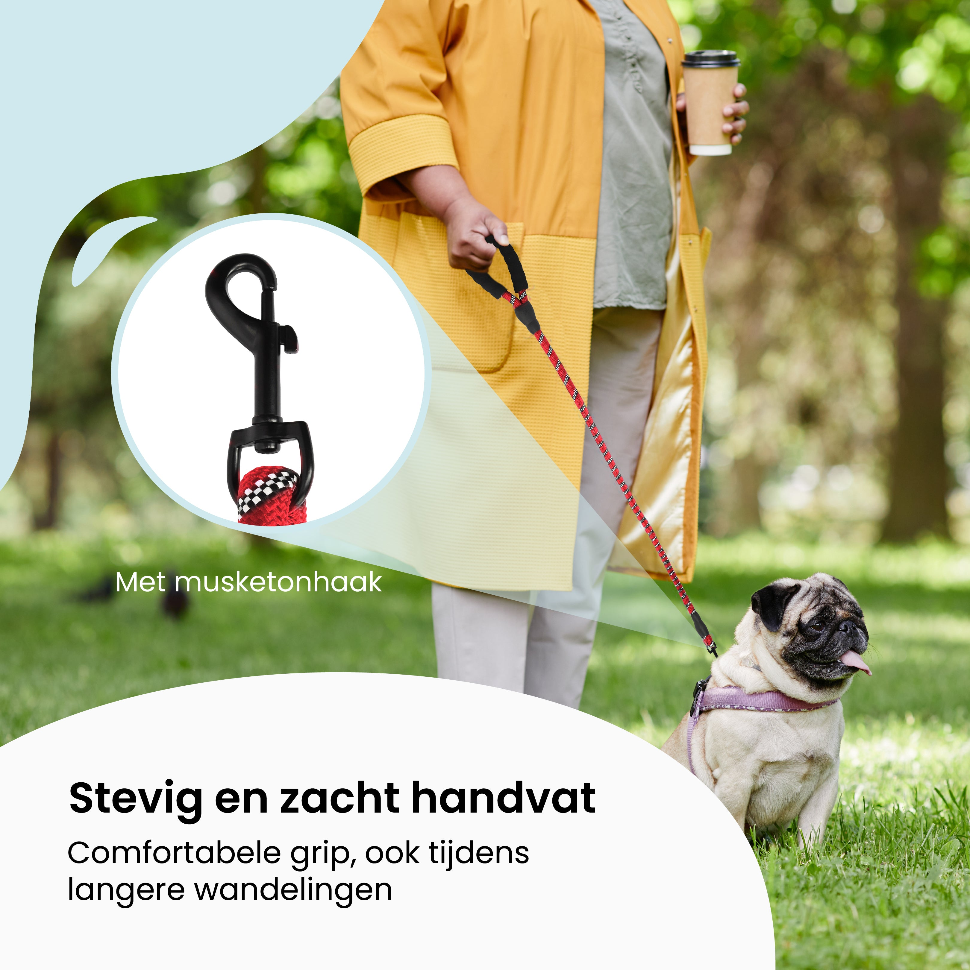 A dog leash, showing a close-up of the clasp and a pug being walked on grass.