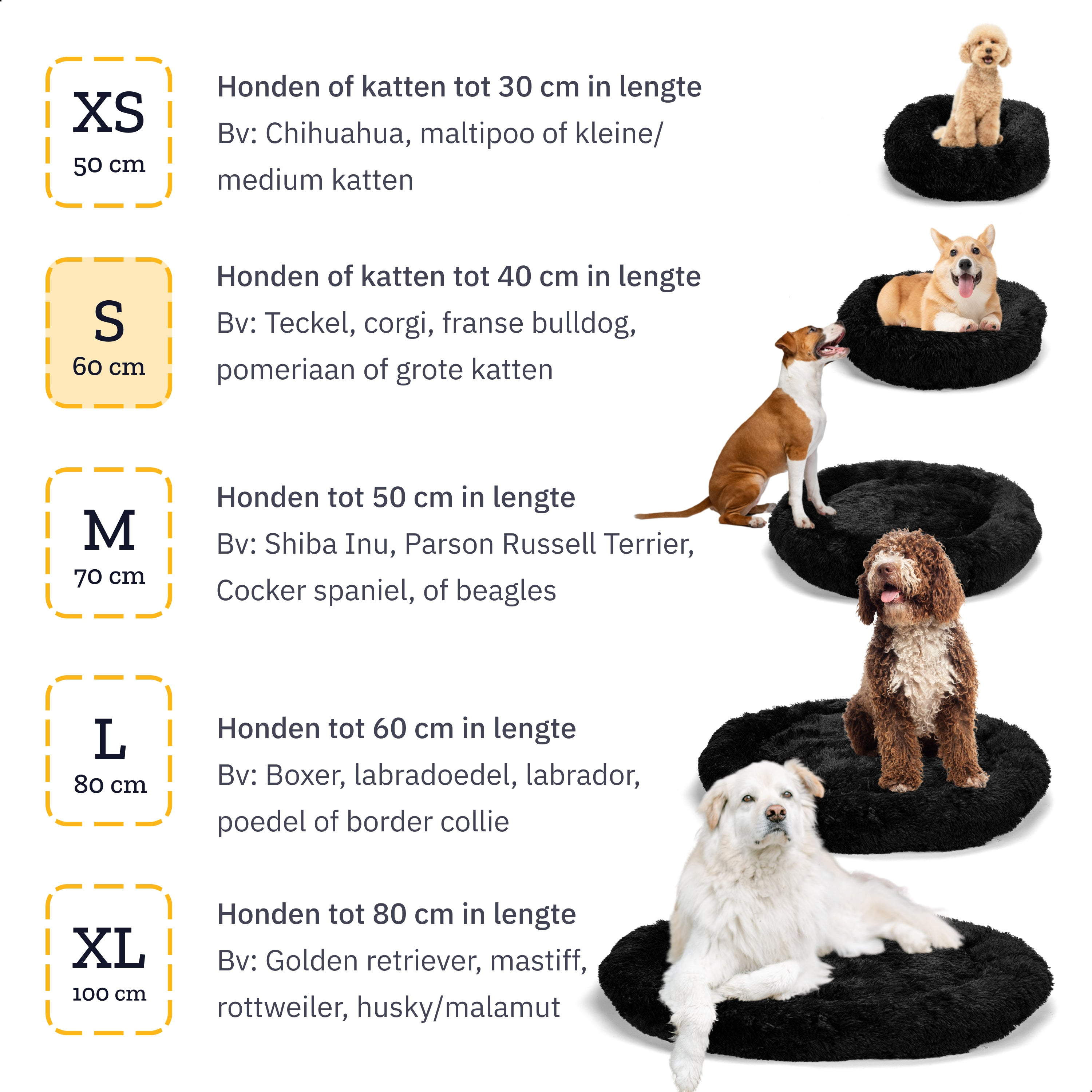Different sized pet beds with dogs on them.