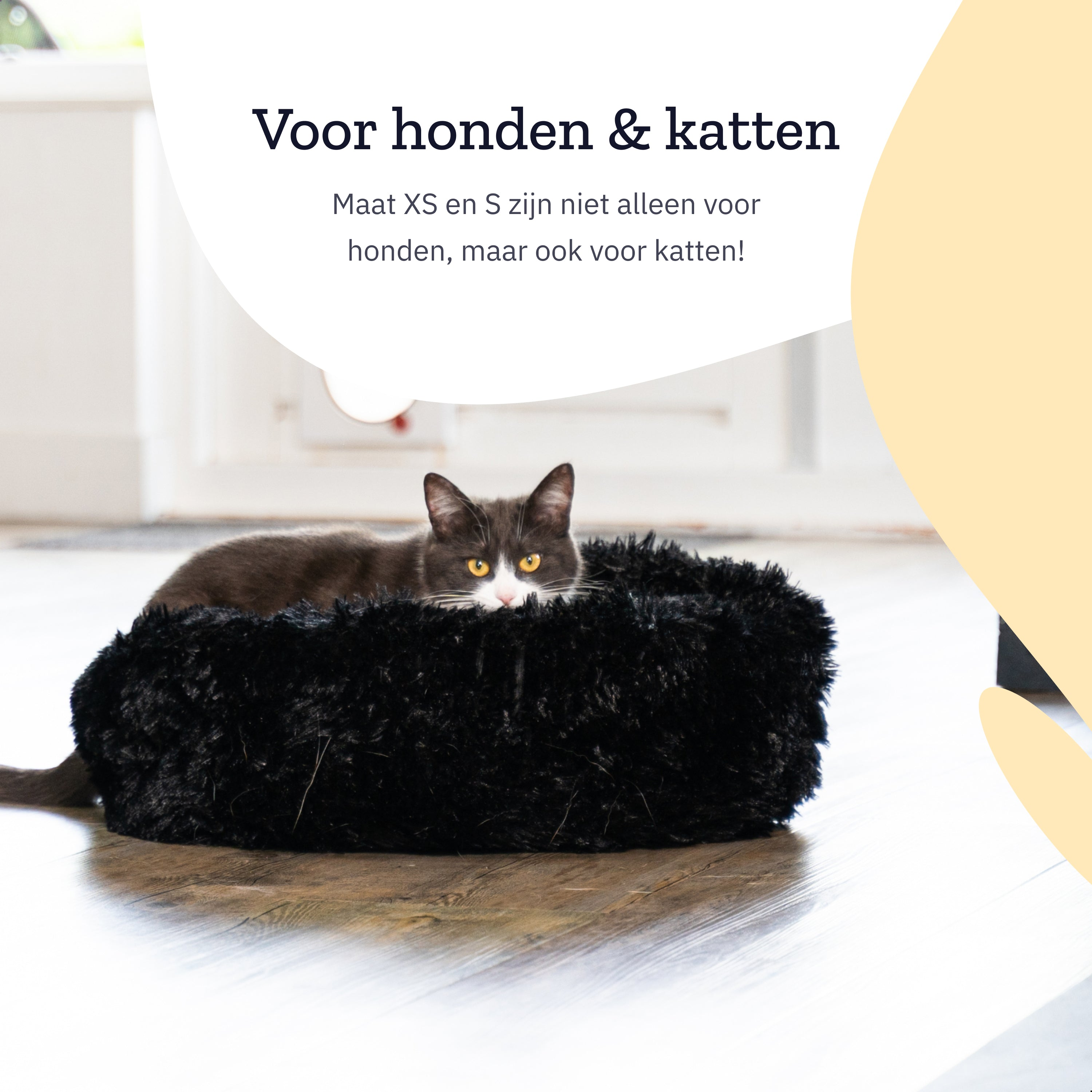 A cat in a black fluffy bed. Text says 'For dogs & cats'.