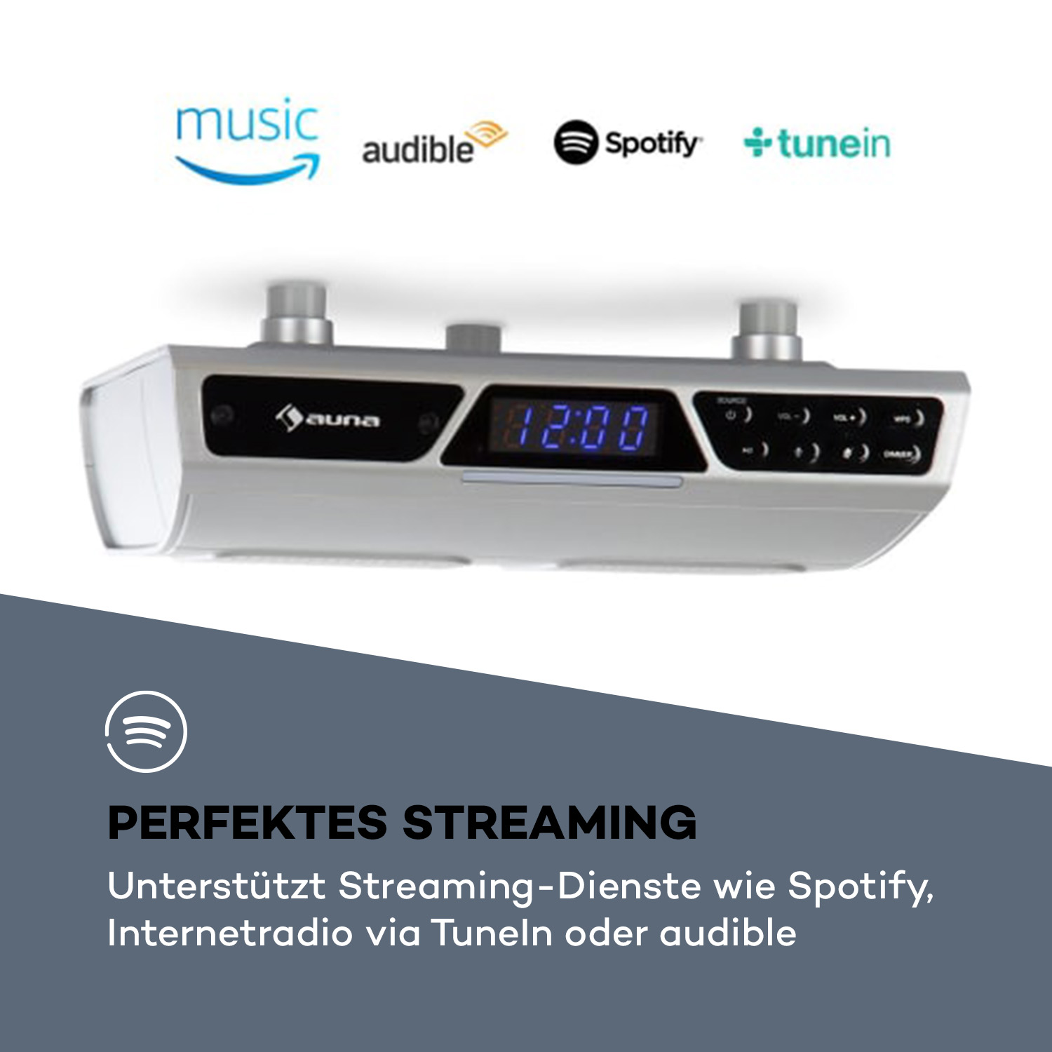 Silbernes Audiogerät mit Display, darüber Logos von Musik-Streaming-Diensten.