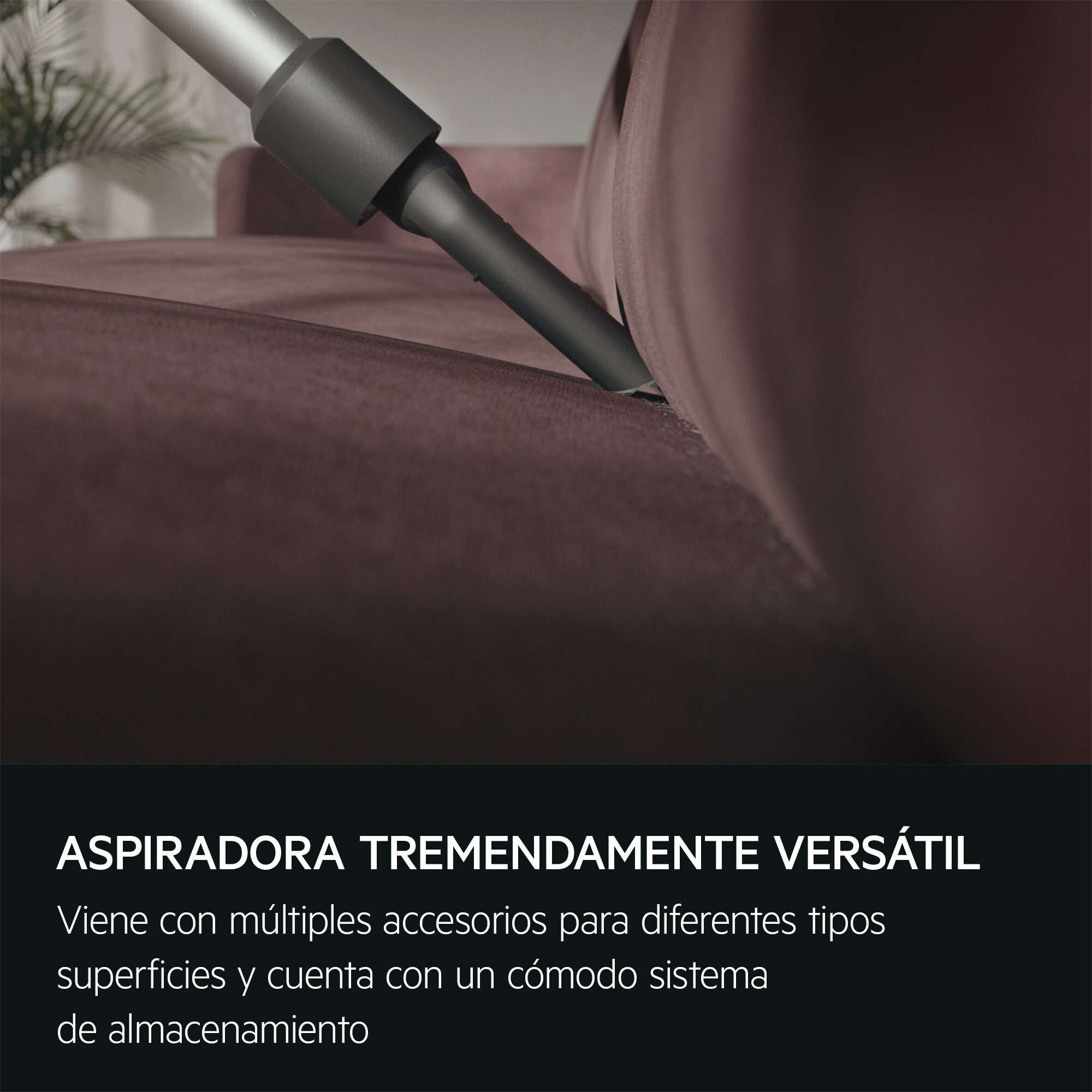 Testa dell'aspirapolvere che pulisce un divano. Testo: 'Aspirapolvere tremendamente versatile'.