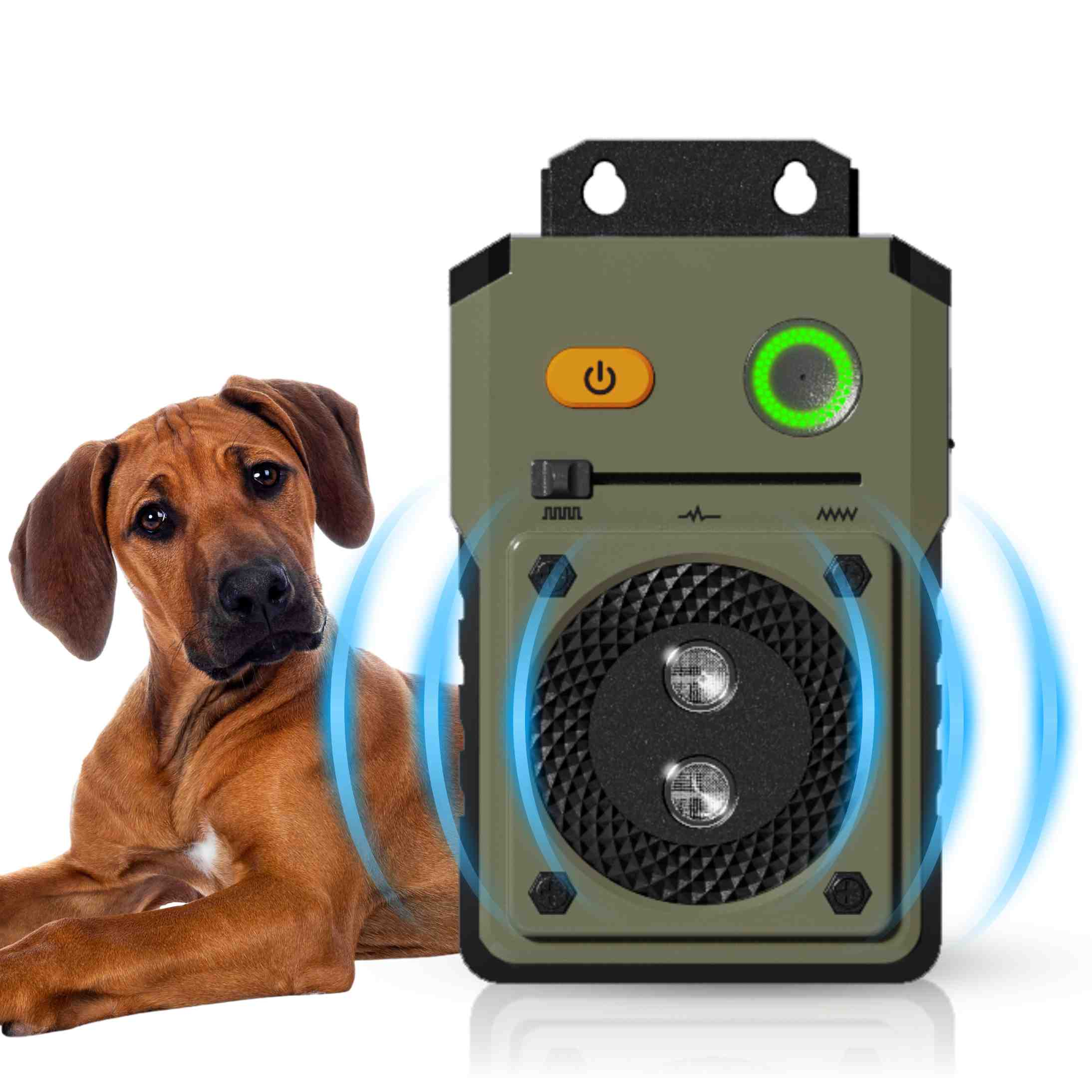 Ein Hund und ein Gerät. Das Gerät ist grün mit einem Lautsprecher, einem grünen Licht und einem Ein/Aus-Knopf.