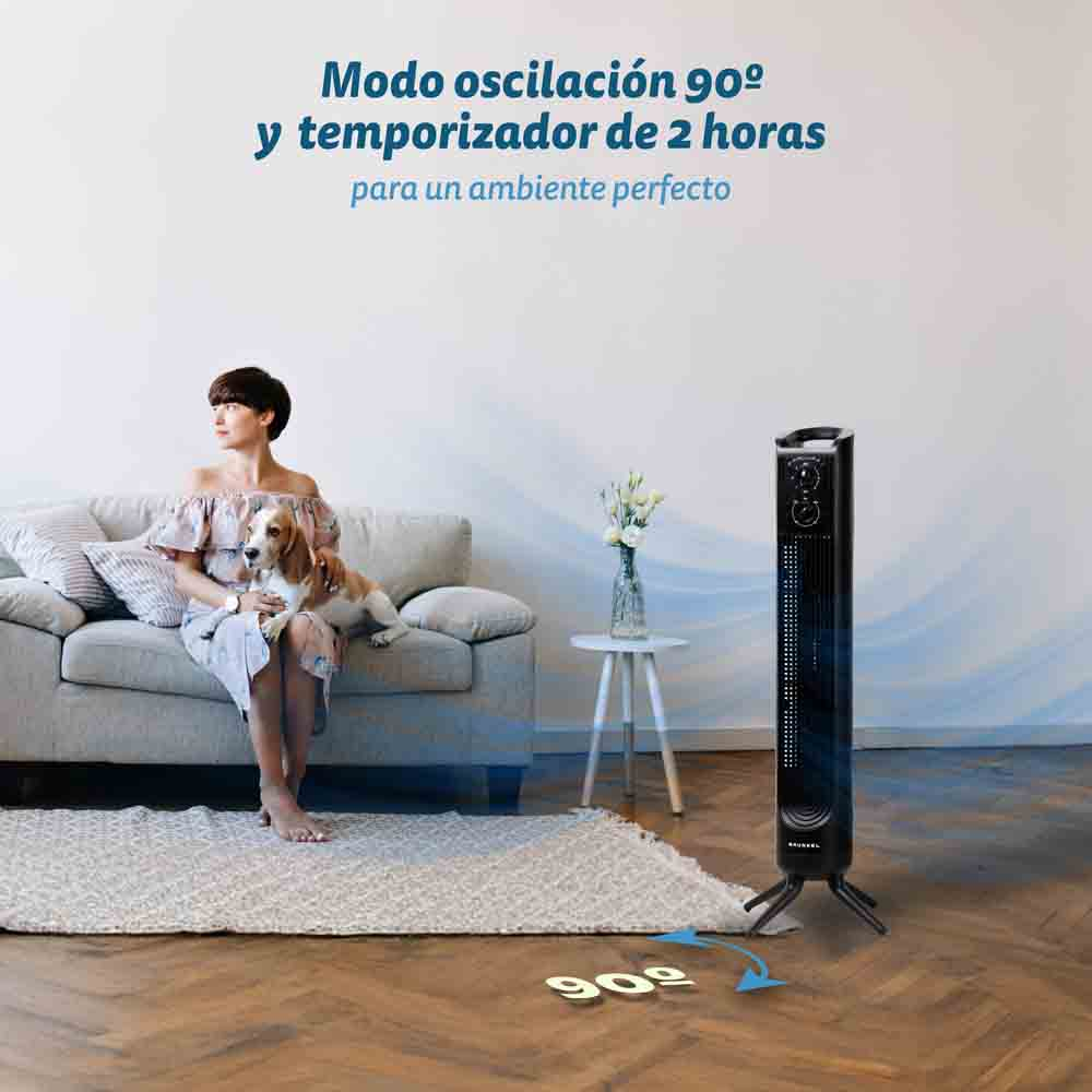 Mujer con perro, cerca de un calefactor negro. Habitación con sofá, alfombra y mesa con flores. Pared blanca.