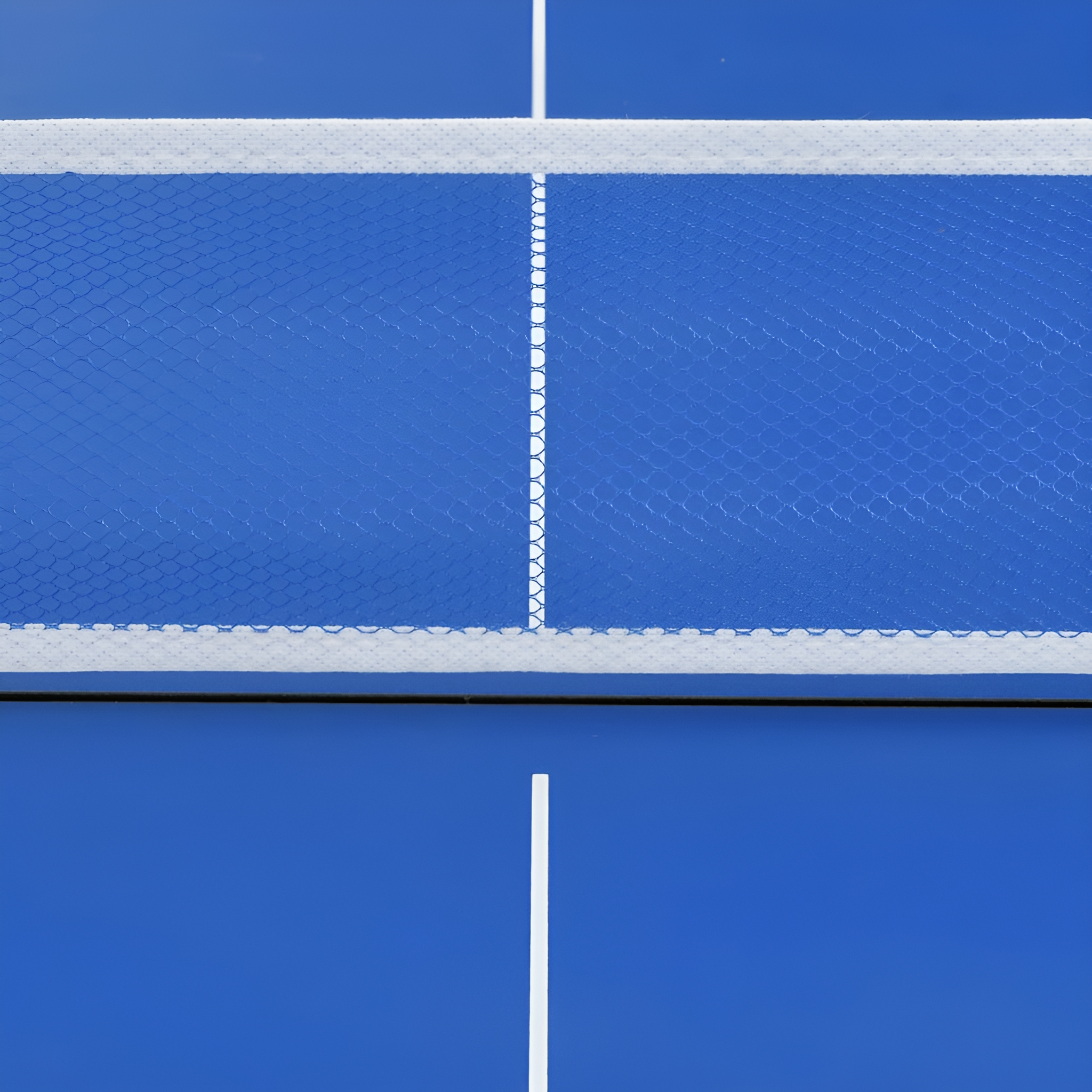 Nahaufnahme von Netz und Oberfläche eines blauen Tischtennistisches.