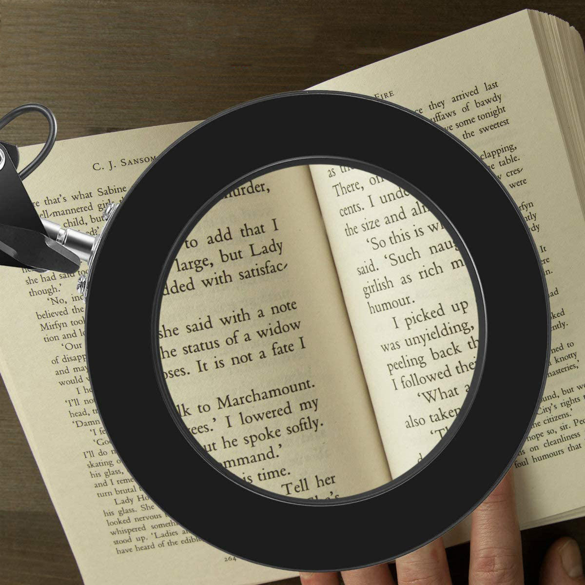 Lupe über einem Buch. Text auf der Seite. Hand, die das Glas hält.