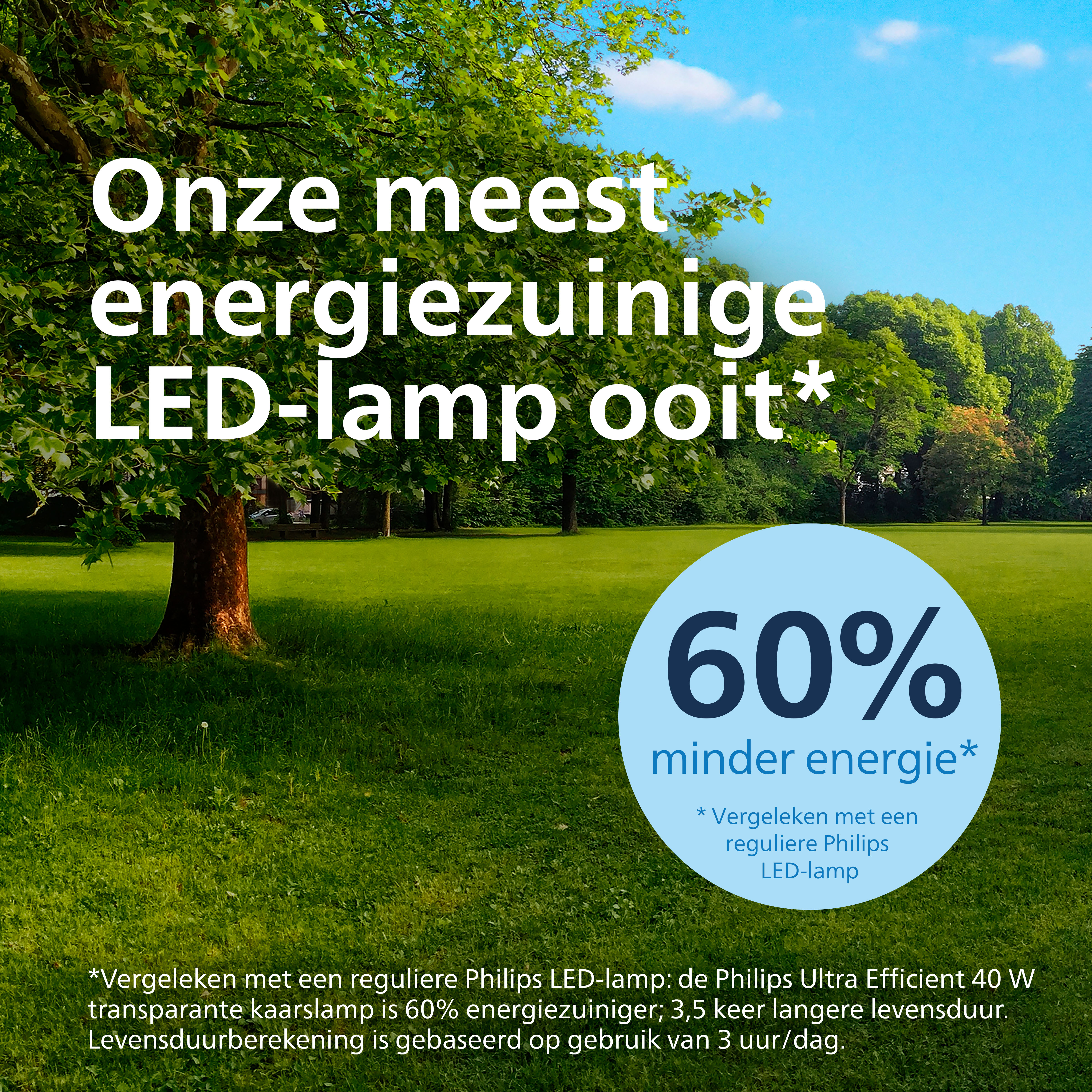 Champ vert, arbre, ciel bleu, texte sur ampoule LED économe en énergie, avec réduction d'énergie de 60%.