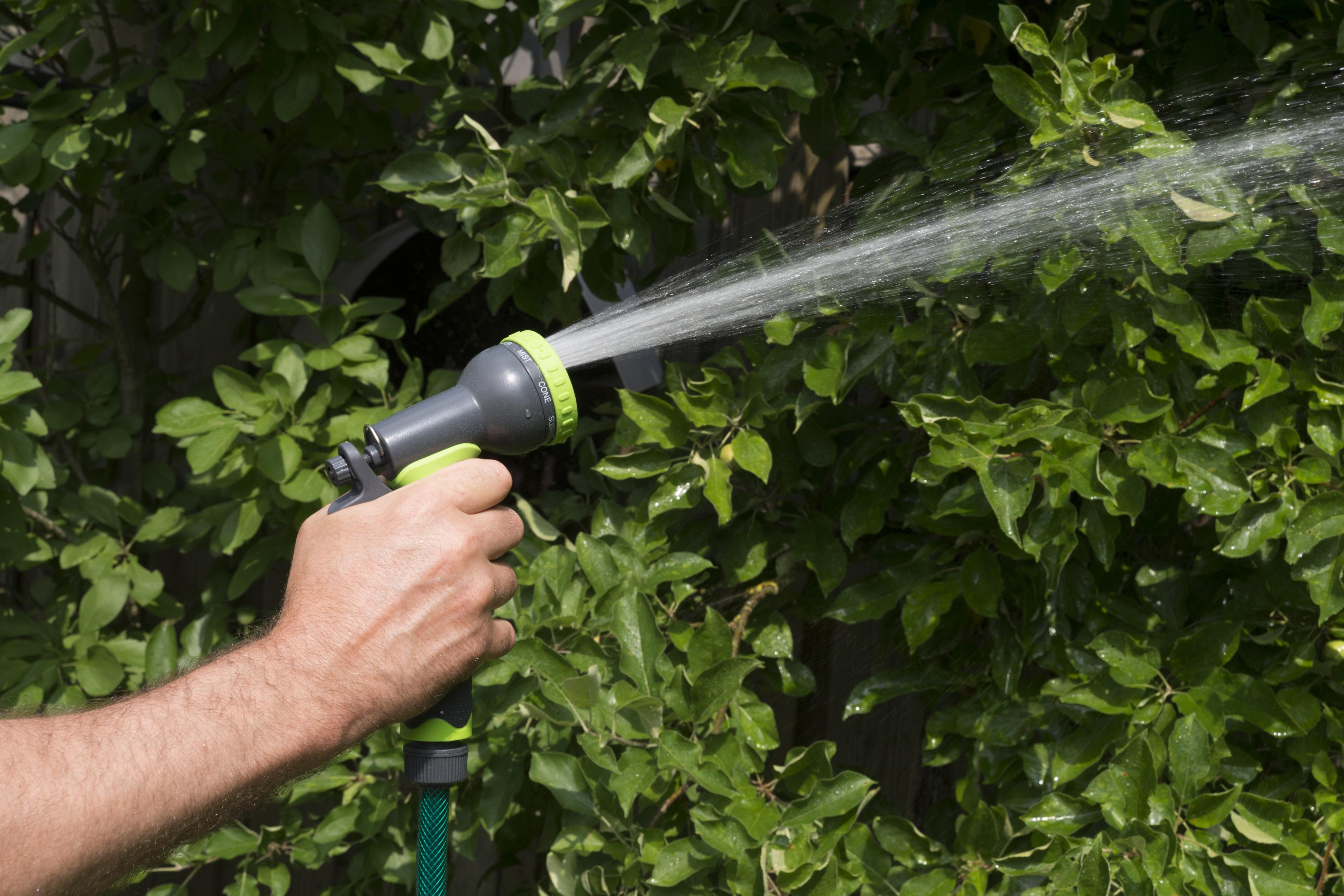 Een persoon gebruikt een tuinslang om water op groene struiken te spuiten.