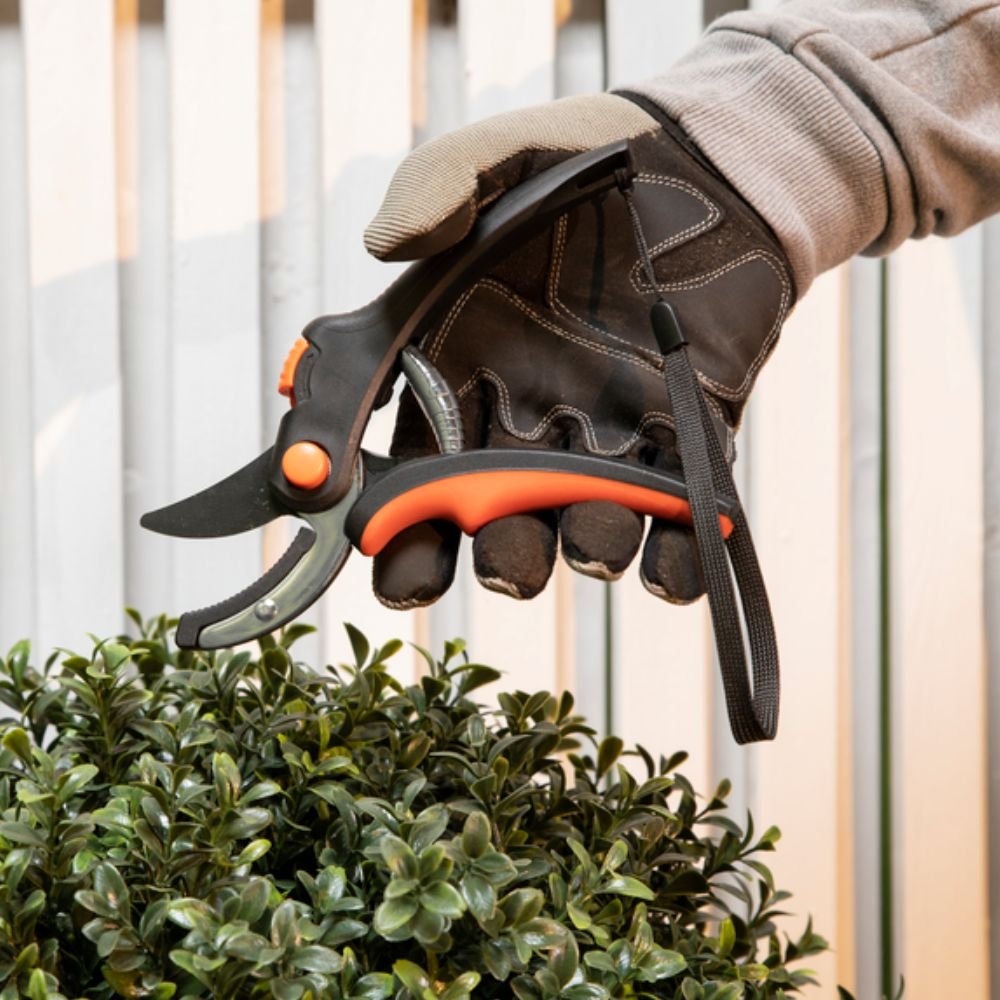 Hand met handschoen gebruikt snoeischaar om groene struik te snoeien. Focus op schaar.