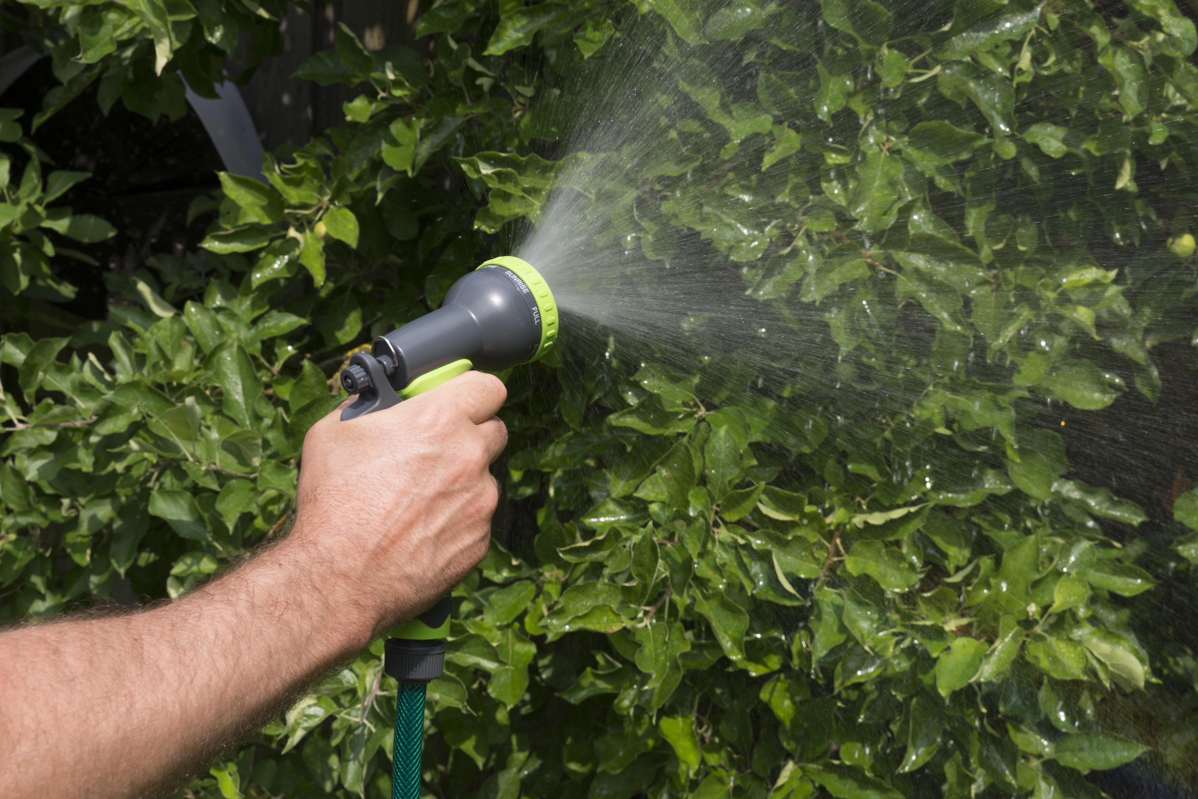 De hand van een persoon die een tuinslangsproeier vasthoudt en water op een groene struik sproeit.