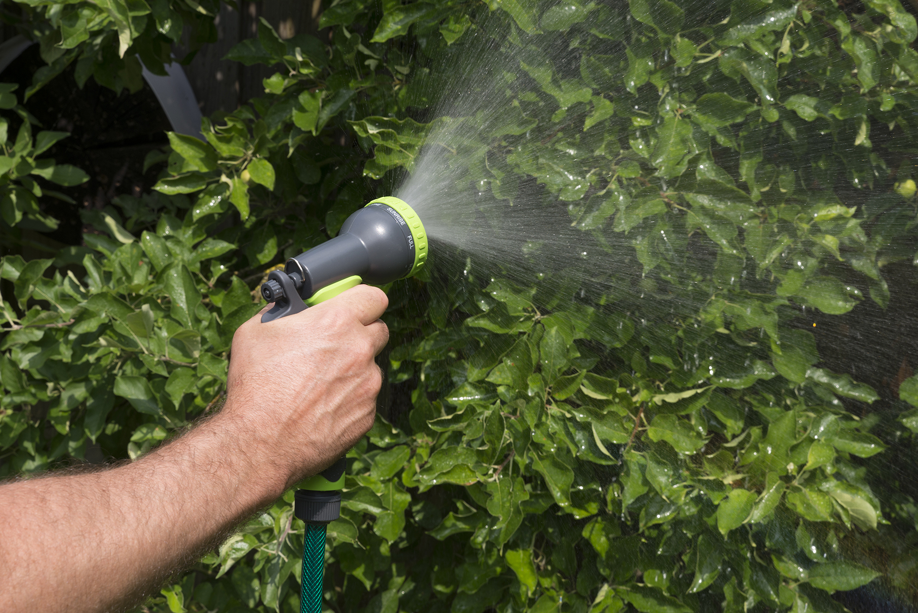 Een hand die een groen en grijs mondstuk vasthoudt en water sproeit op weelderig groen gebladerte.