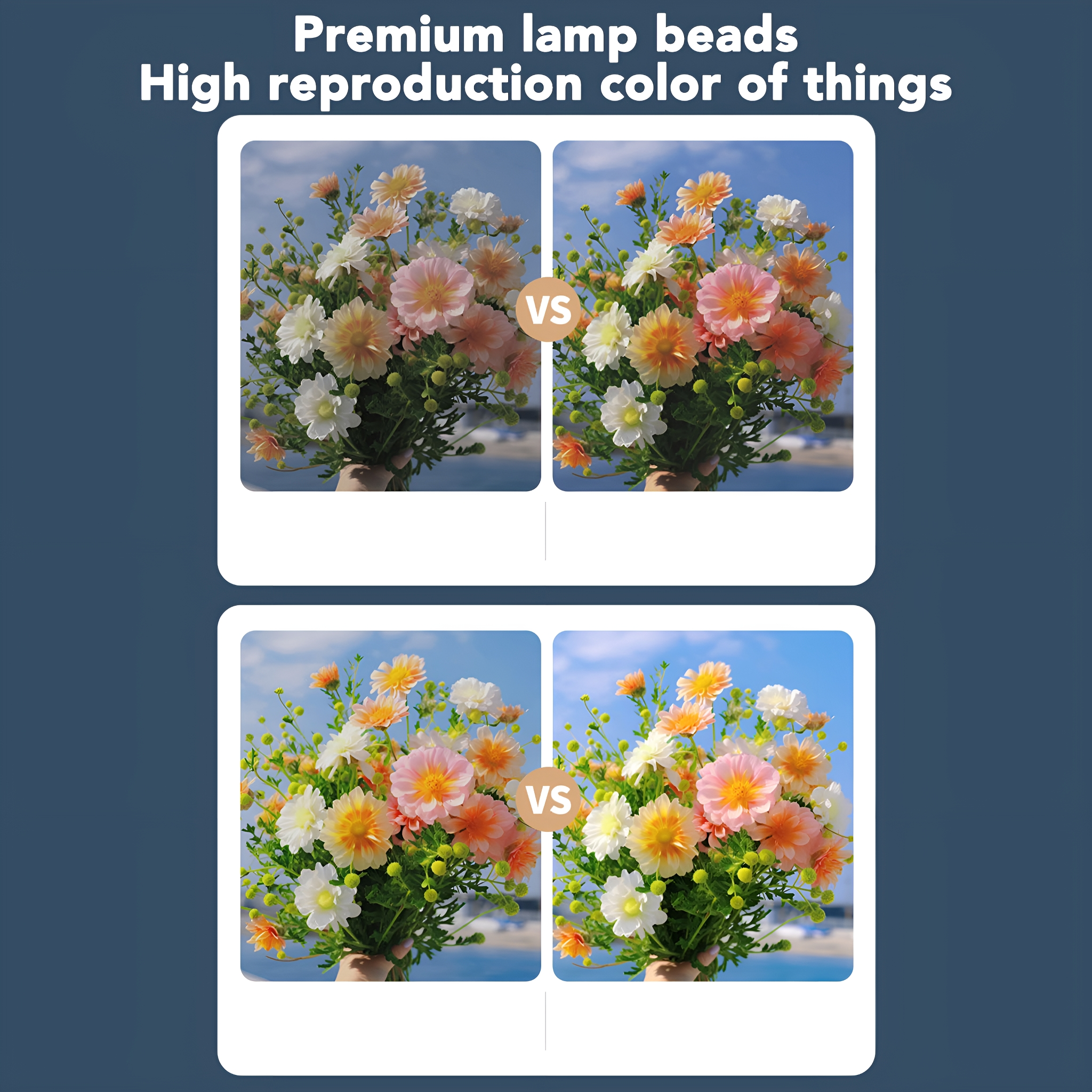 Zwei Bilder von Blumen, eines mit blauem Himmel, das andere mit dunklerem Hintergrund.