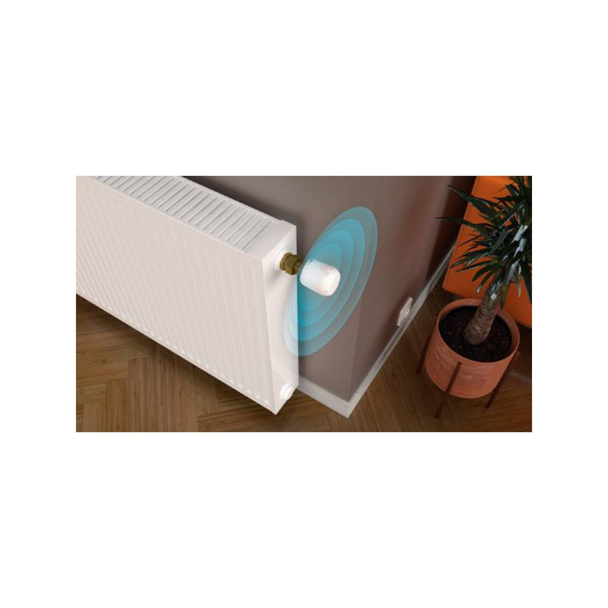 Un radiatore bianco con un termostato intelligente collegato. Una pianta e una parete sullo sfondo.