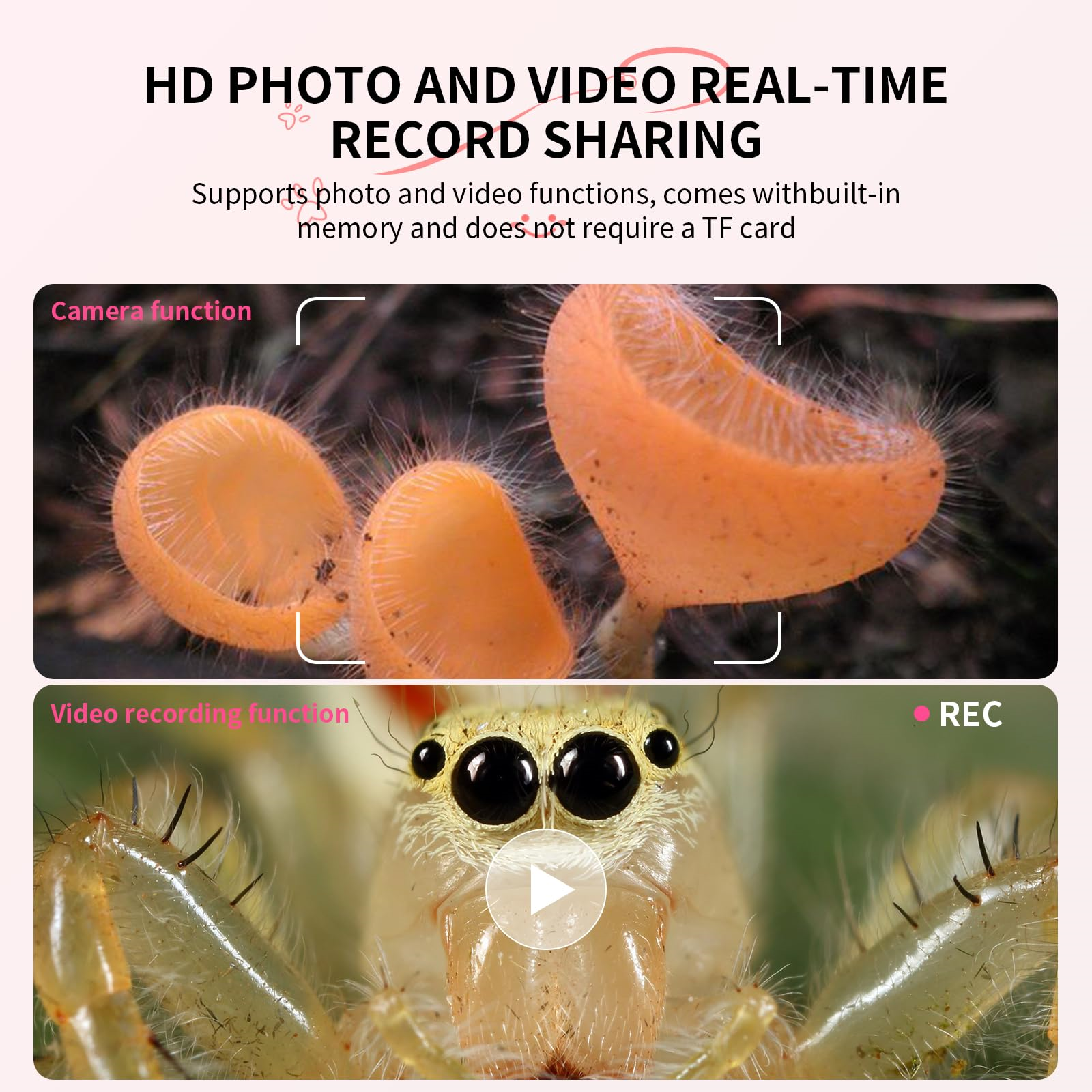 Werbebild mit Pilzen und Spinne, bewirbt Foto- und Videofunktionen.
