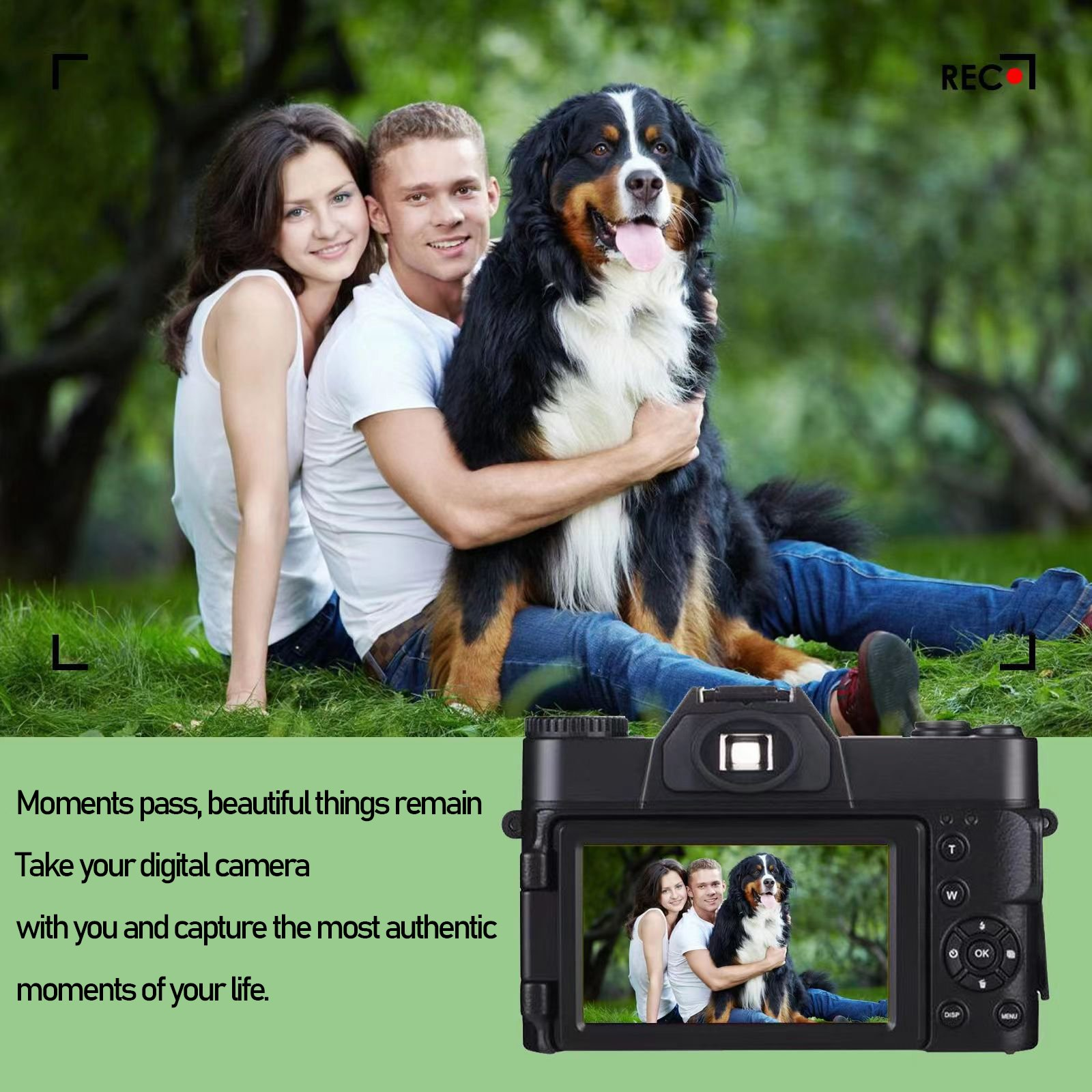 Paar mit Hund im Park. Kamera zeigt ein Bild von ihnen. Grüner Hintergrund, blaue Jeans.