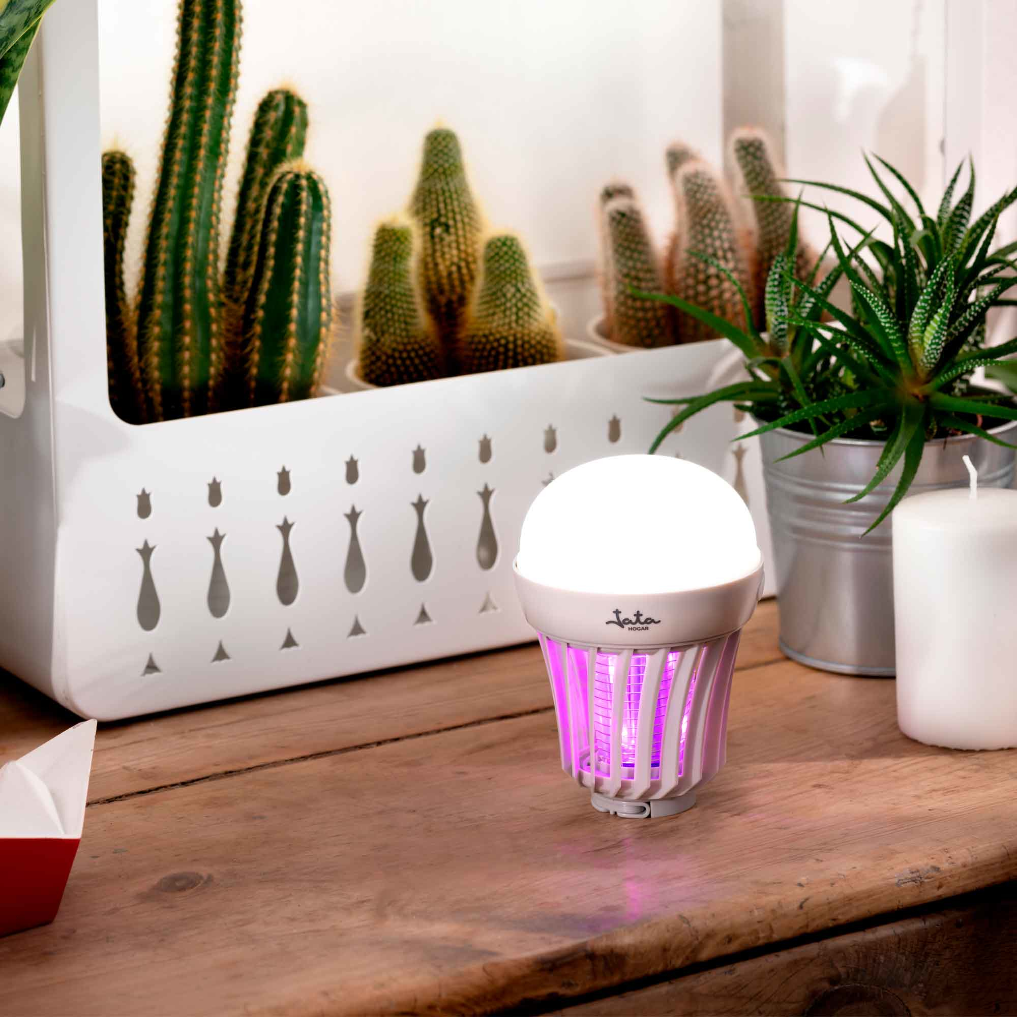 Un matamoscas blanco con luz está sobre una mesa de madera, entre plantas.