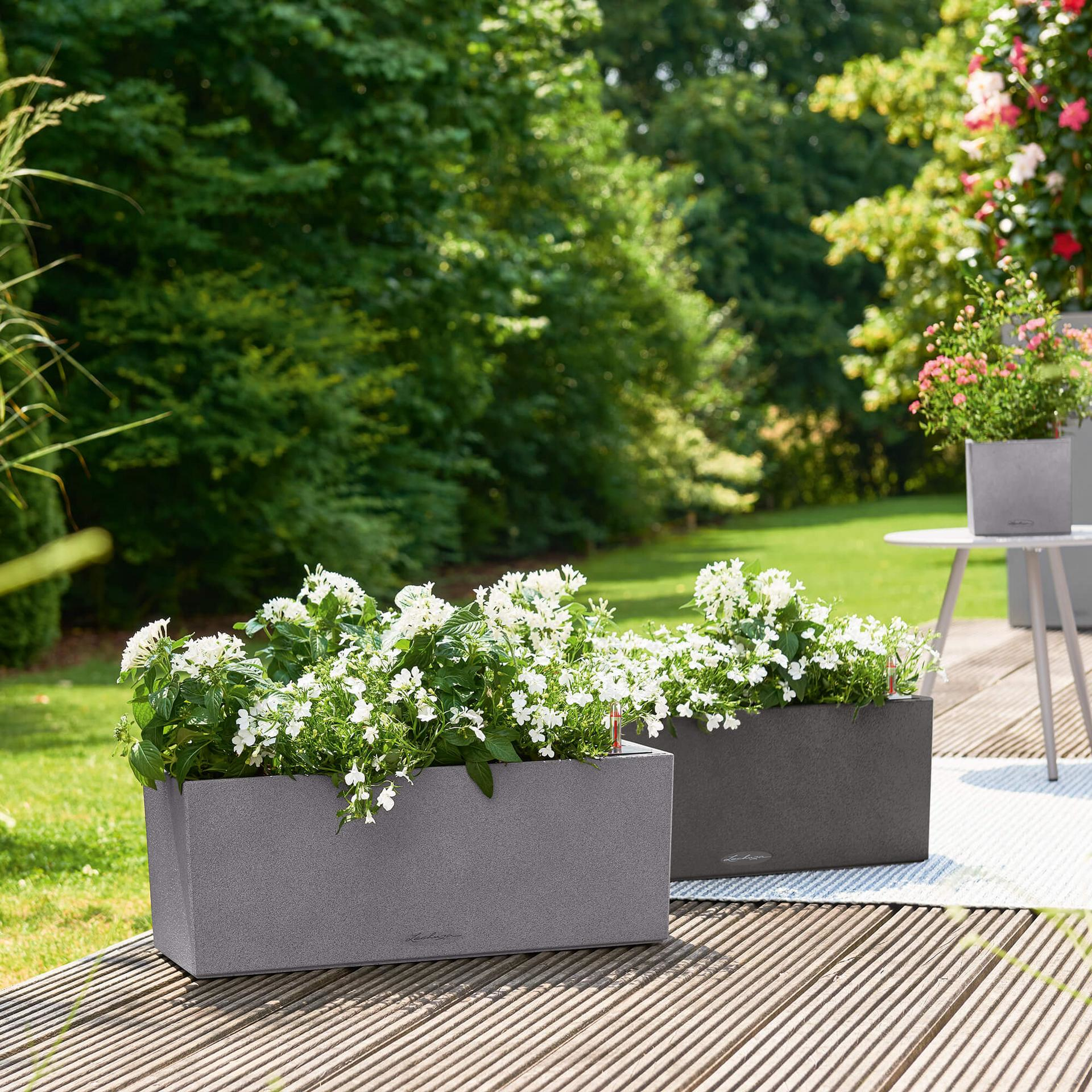 Zwei graue, rechteckige Blumenkübel mit weißen Blumen, auf einem Holzdeck, Gartenhintergrund.