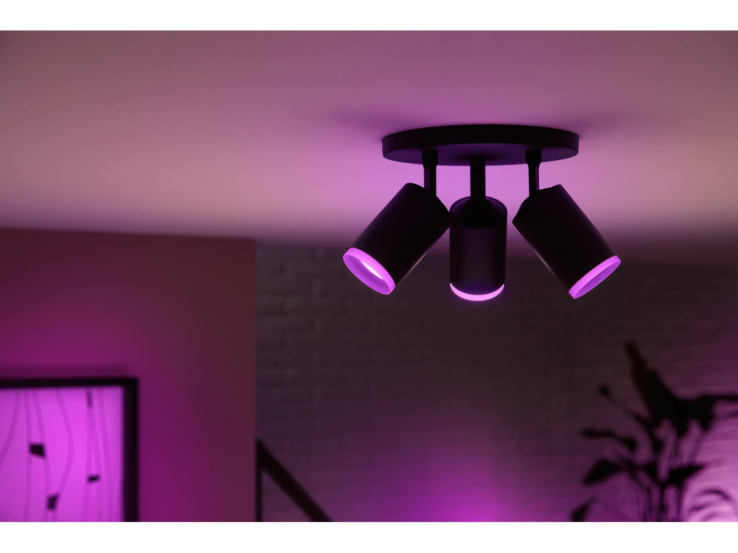 Trois spots noirs au plafond, avec un éclairage violet et rose, et un mur avec une peinture.
