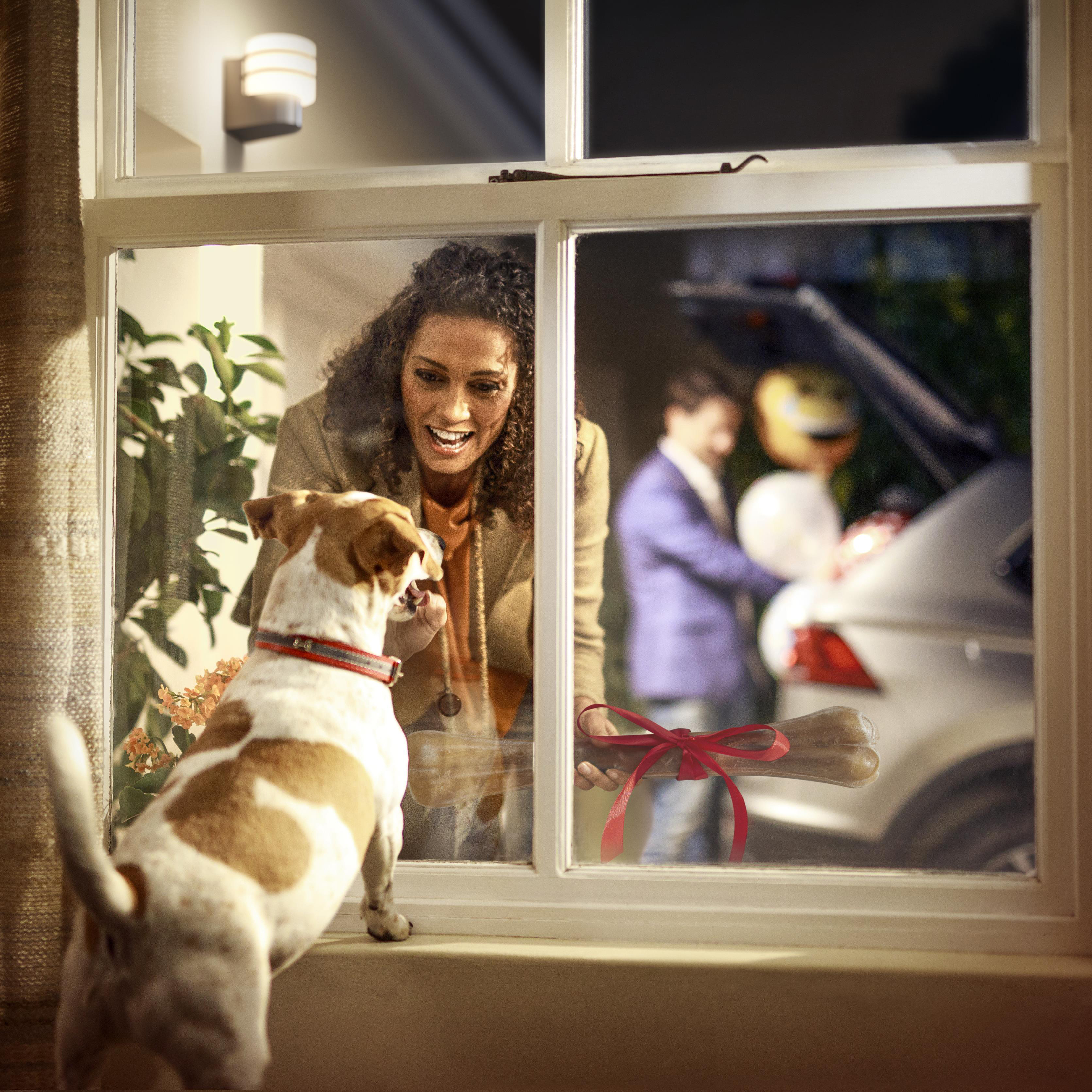 Kobieta patrzy na psa wyglądającego przez okno. Mężczyzna trzyma kość związaną czerwoną wstążką. Widoczny jest samochód.