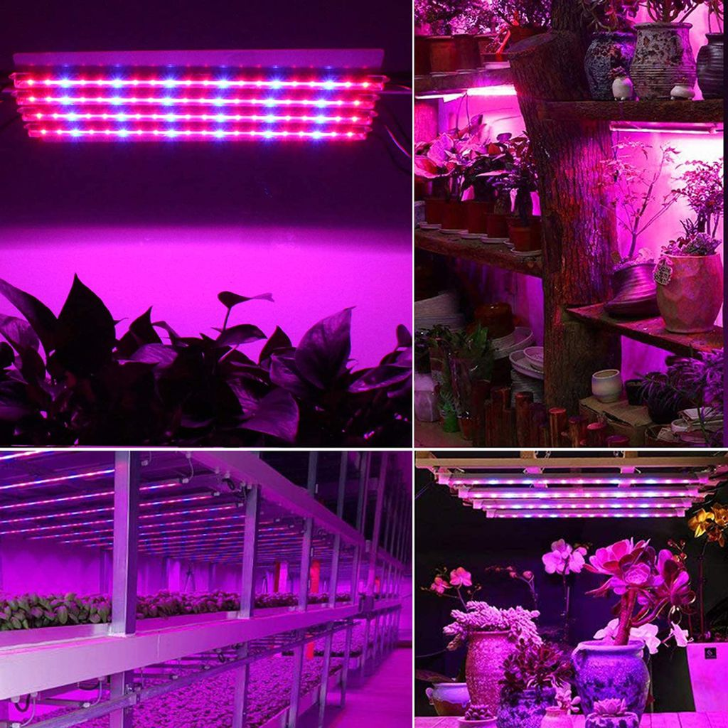 Mehrere Bilder von Pflanzen unter violetten LED-Leuchten. Die Lichter sind über Pflanzen montiert.