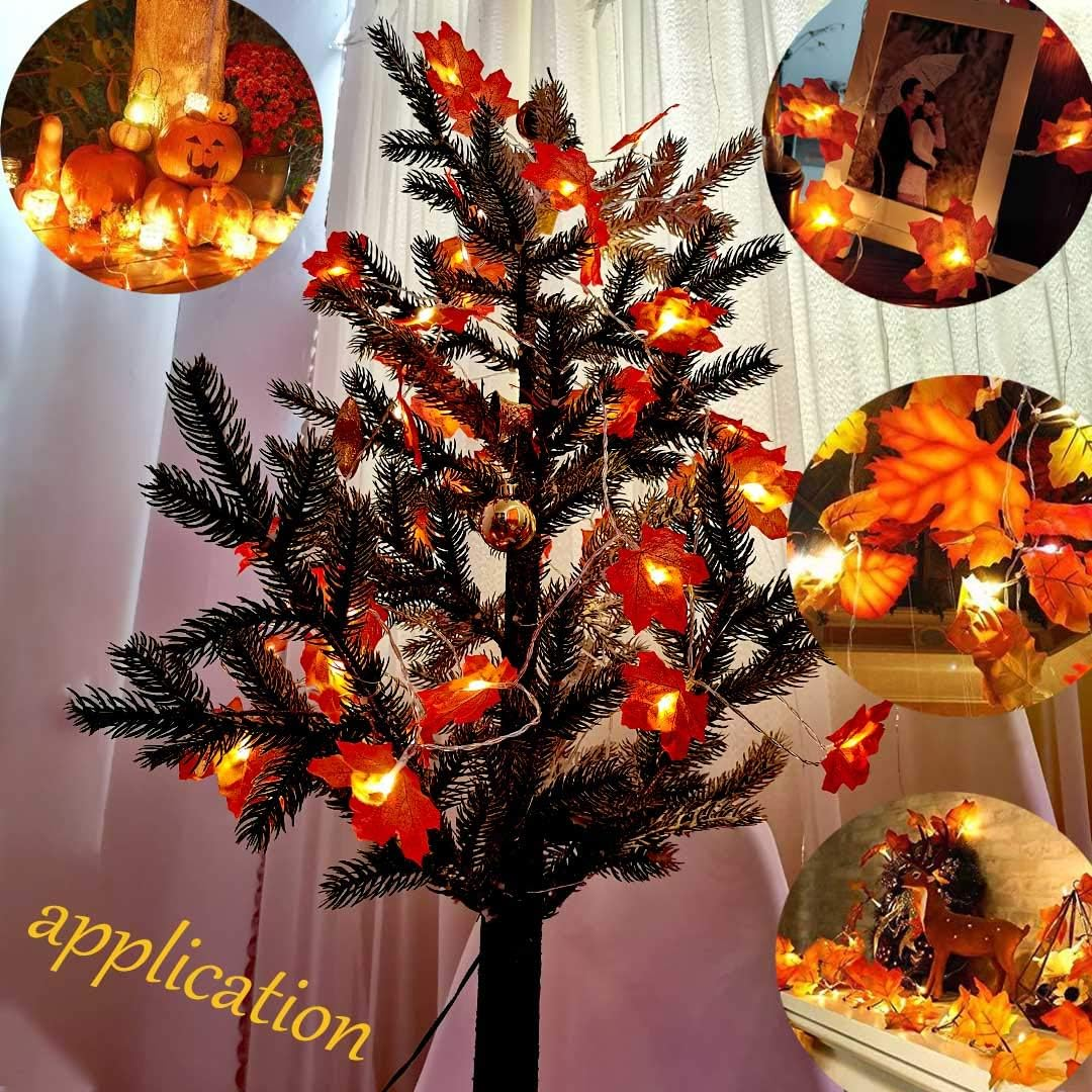 Weihnachtsbaum mit Lichtern dekoriert. Blätter und Kürbisse sind um den Baum platziert.