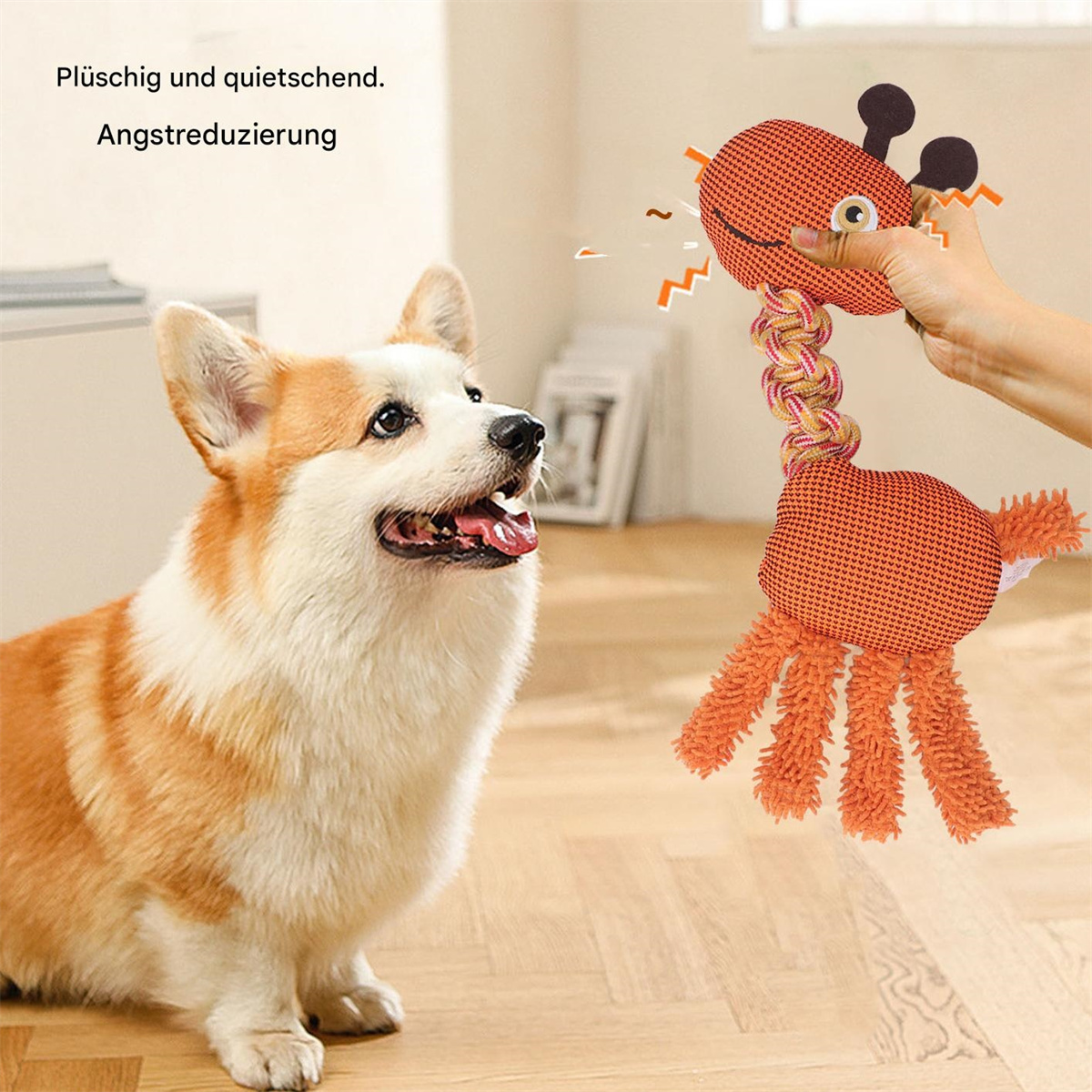 Corgi-Hund mit orangefarbenem Spielzeug. Spielzeug ist ein Plüsch-Giraffenkopf.