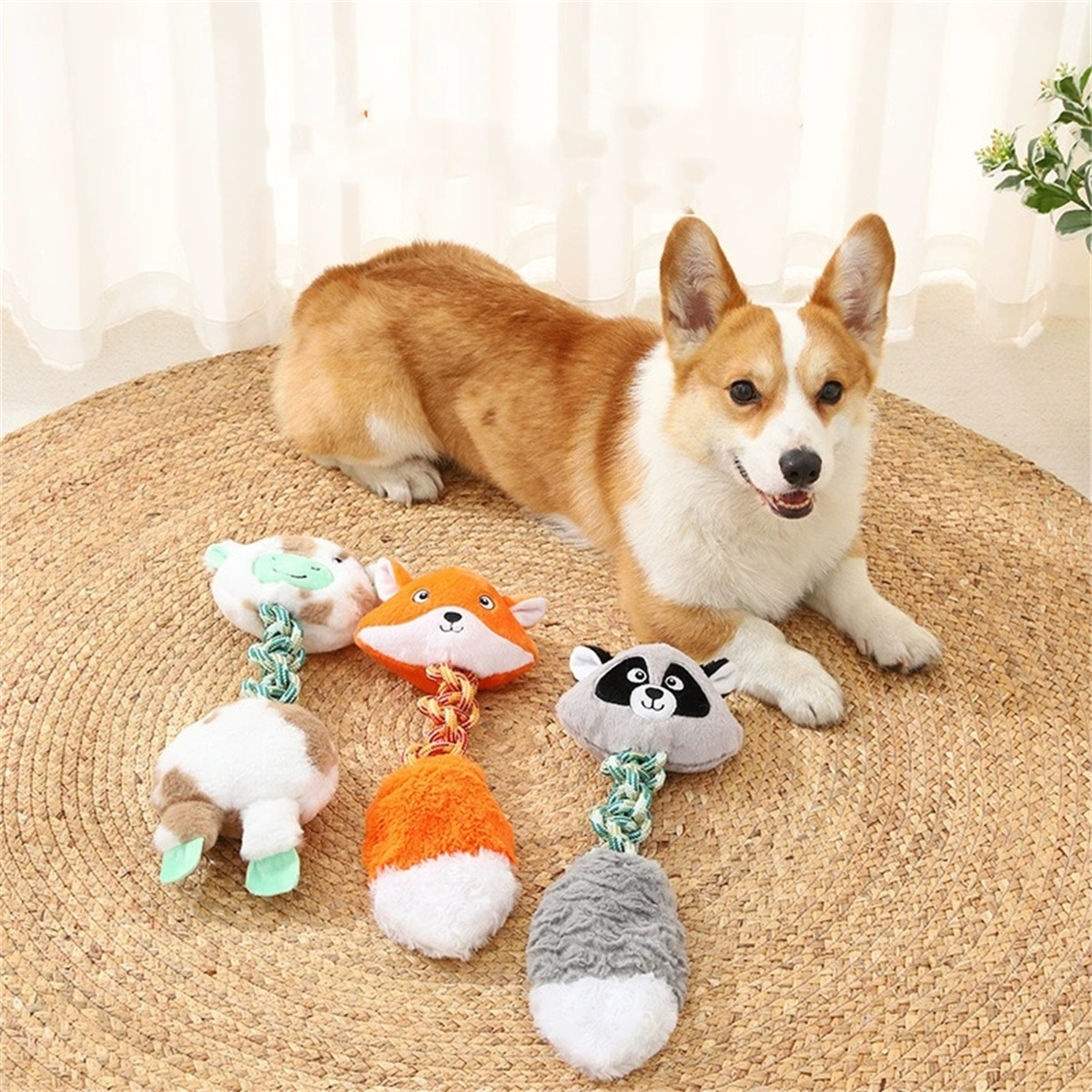 Hund liegt auf einer gewebten Matte, umgeben von Spielzeug. Das Spielzeug ist farbenfroh und vielfältig.