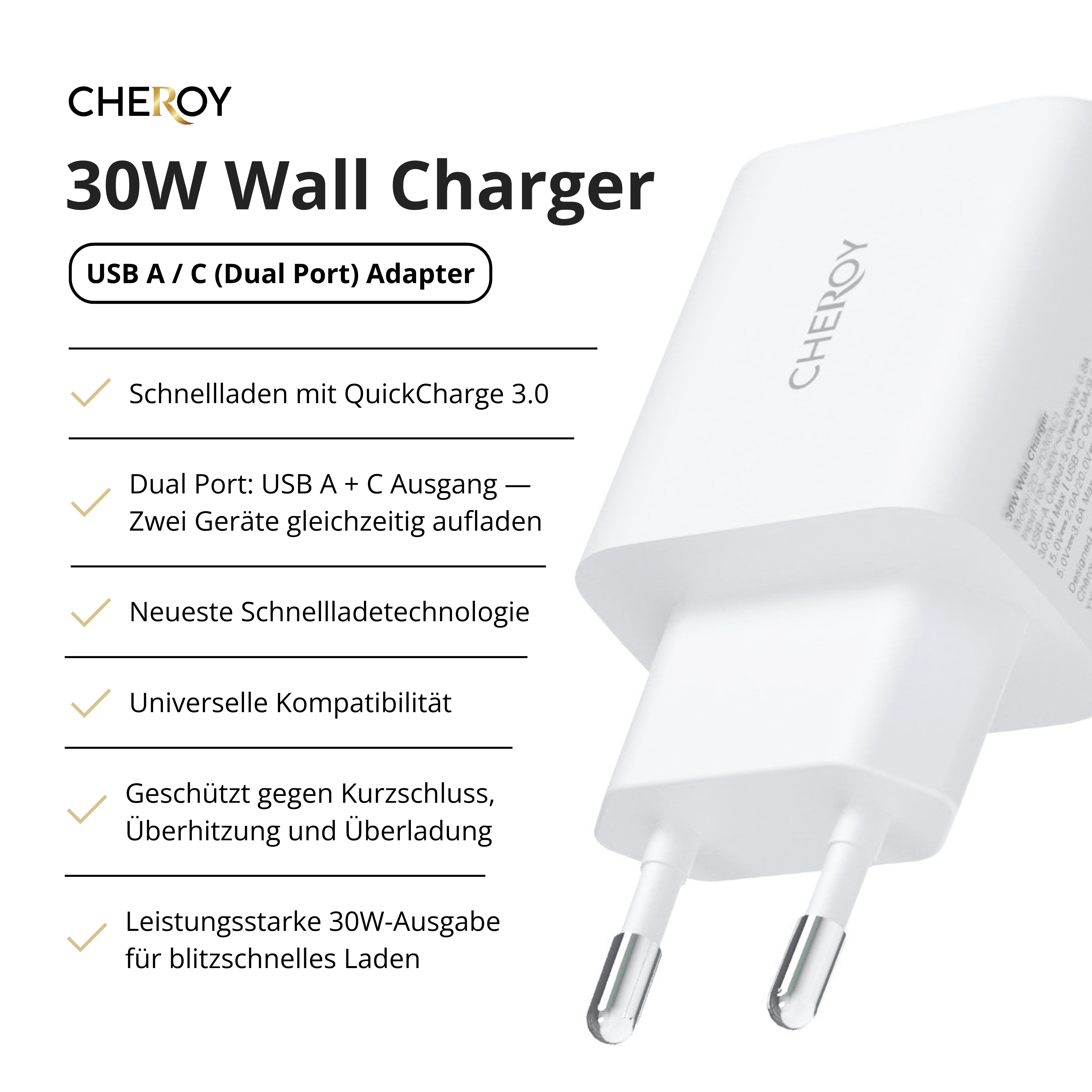 Weißes Wandladegerät. Text listet Merkmale auf: Schnellladung, Dual-Port, Schnellladetechnik und Kompatibilität.