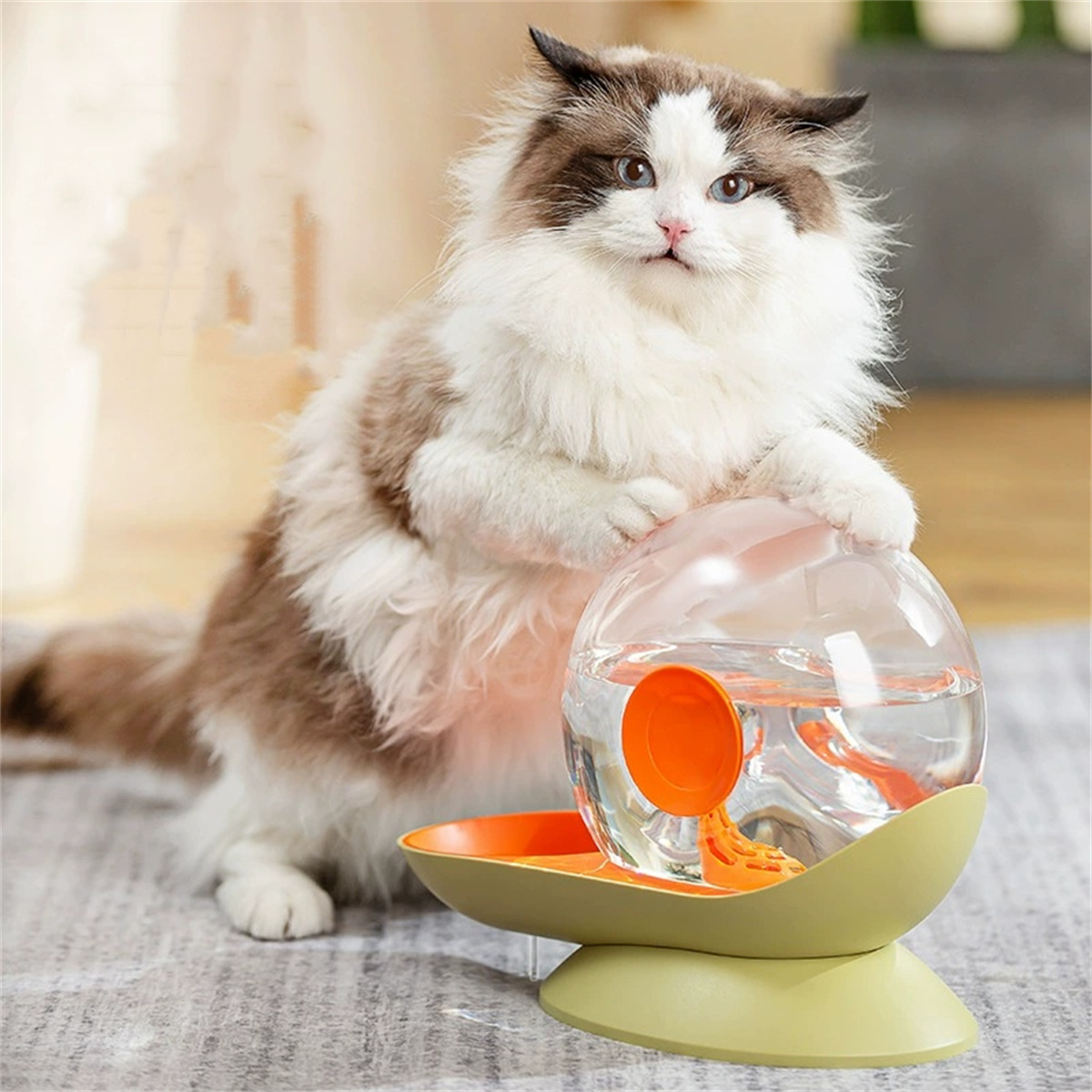Eine flauschige Katze mit einer Wasserschale. Die Schale ist rund und transparent.