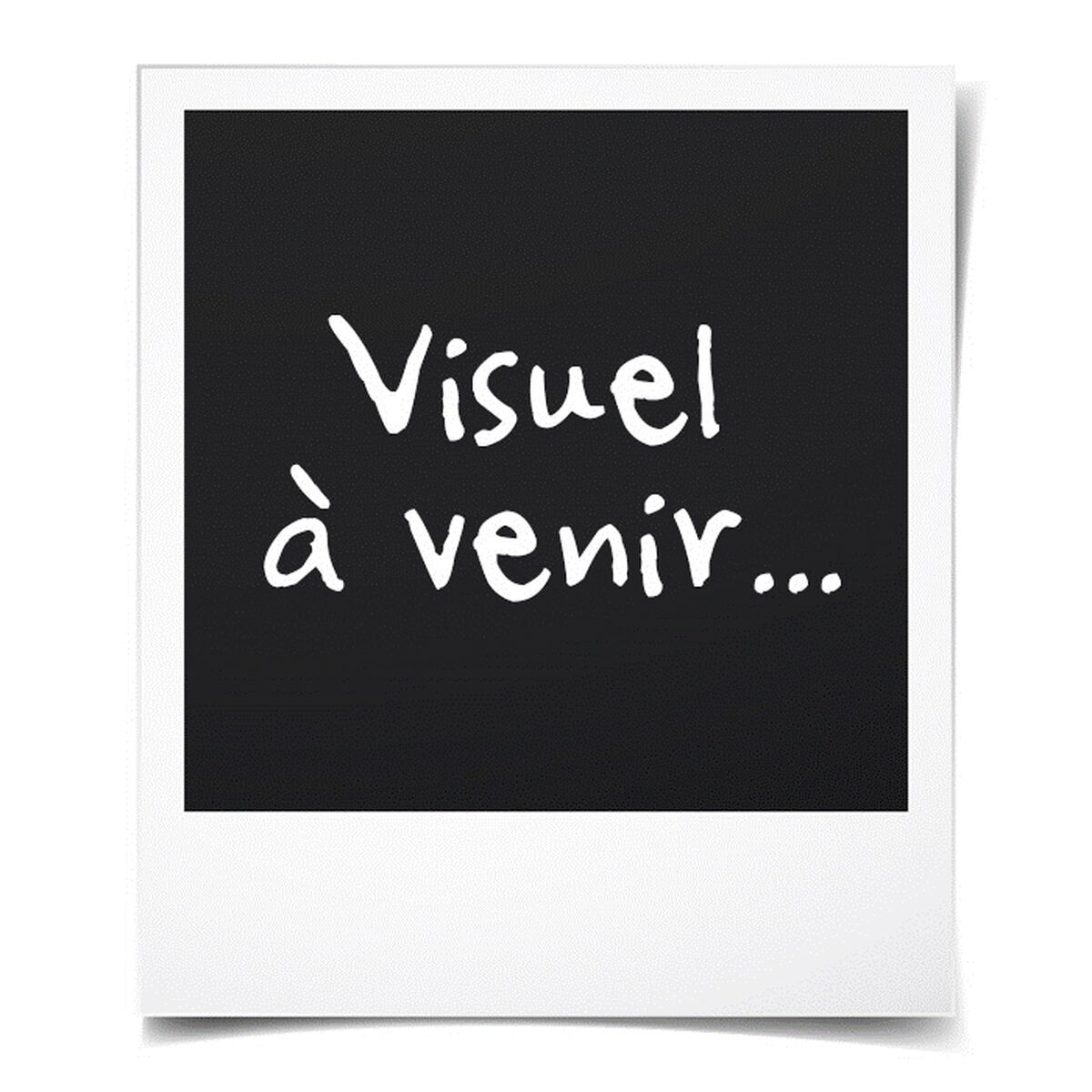 Ein Polaroid-Foto mit dem Text 'Visuel à venir...'.