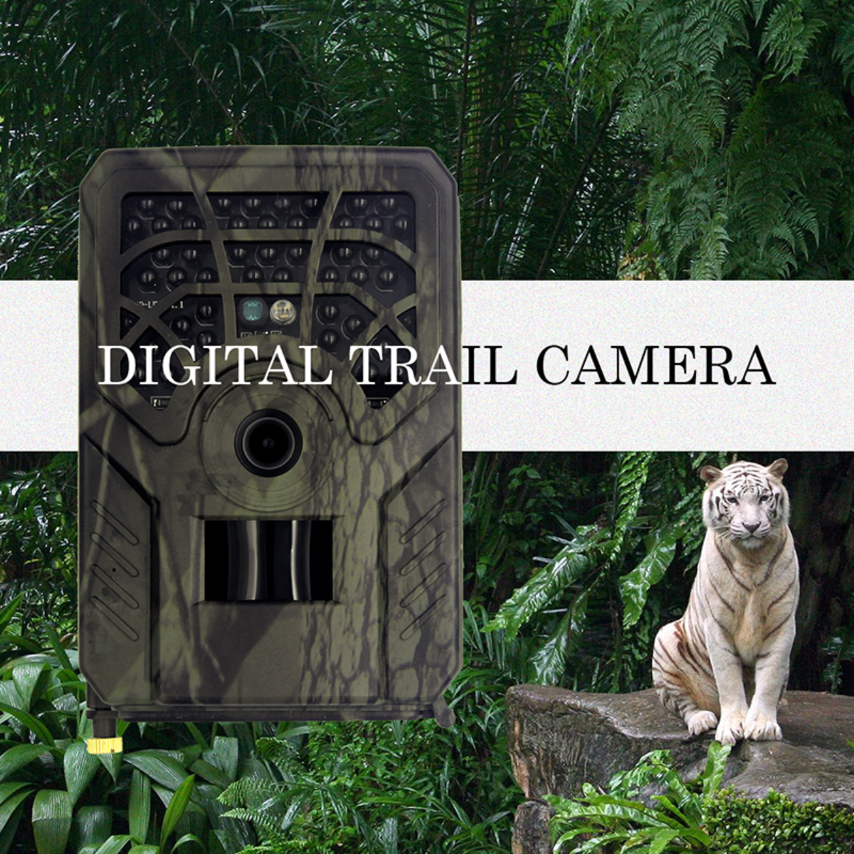 Digitale Wildkamera im Wald, mit weißem Tiger auf Felsen im Hintergrund.