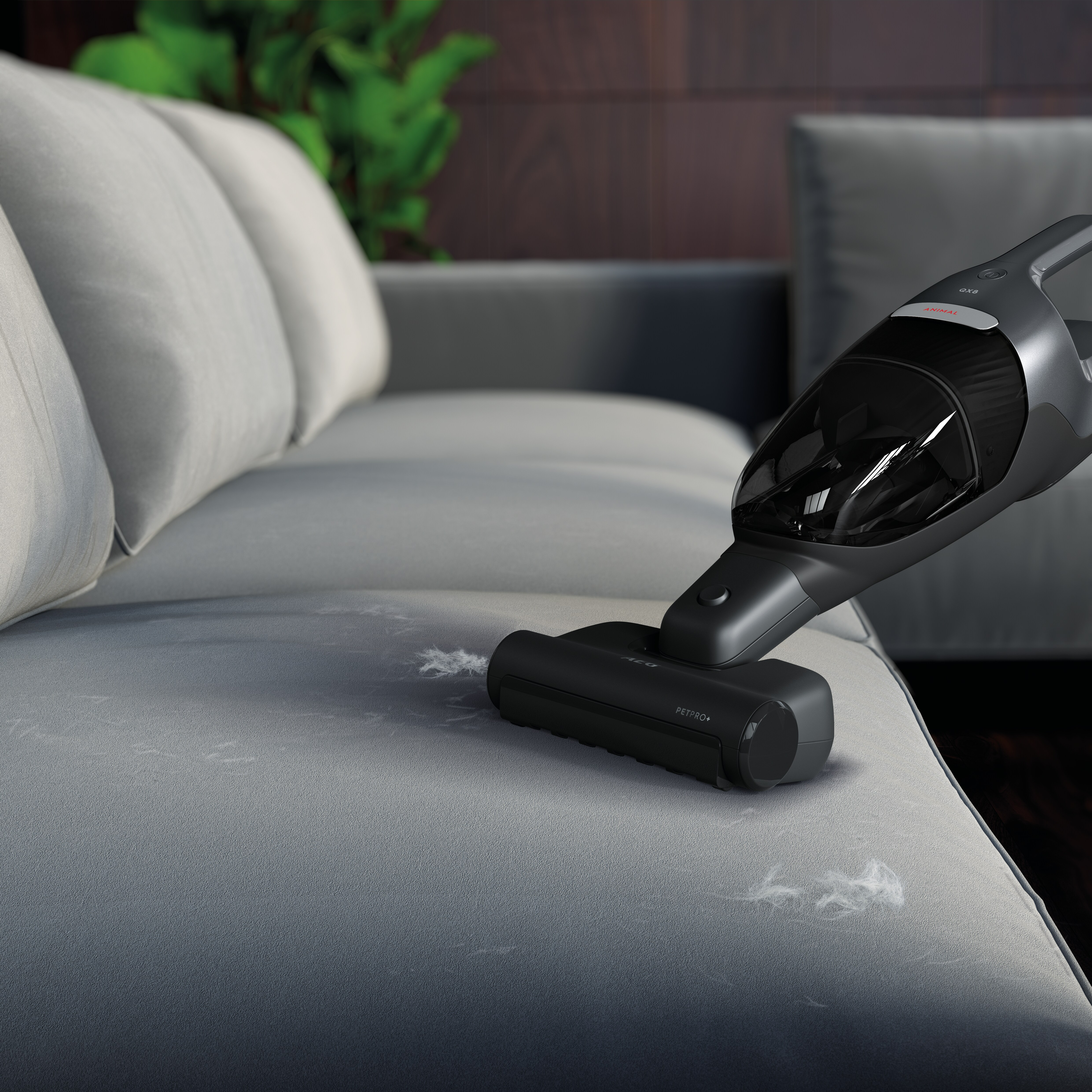 Ein graues Sofa, das mit einem schwarzen Handstaubsauger abgesaugt wird.