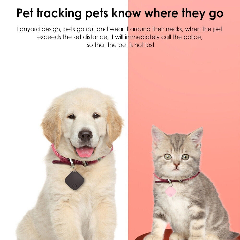 Ein Golden Retriever und eine getigerte Katze tragen jeweils ein Ortungsgerät am Halsband.