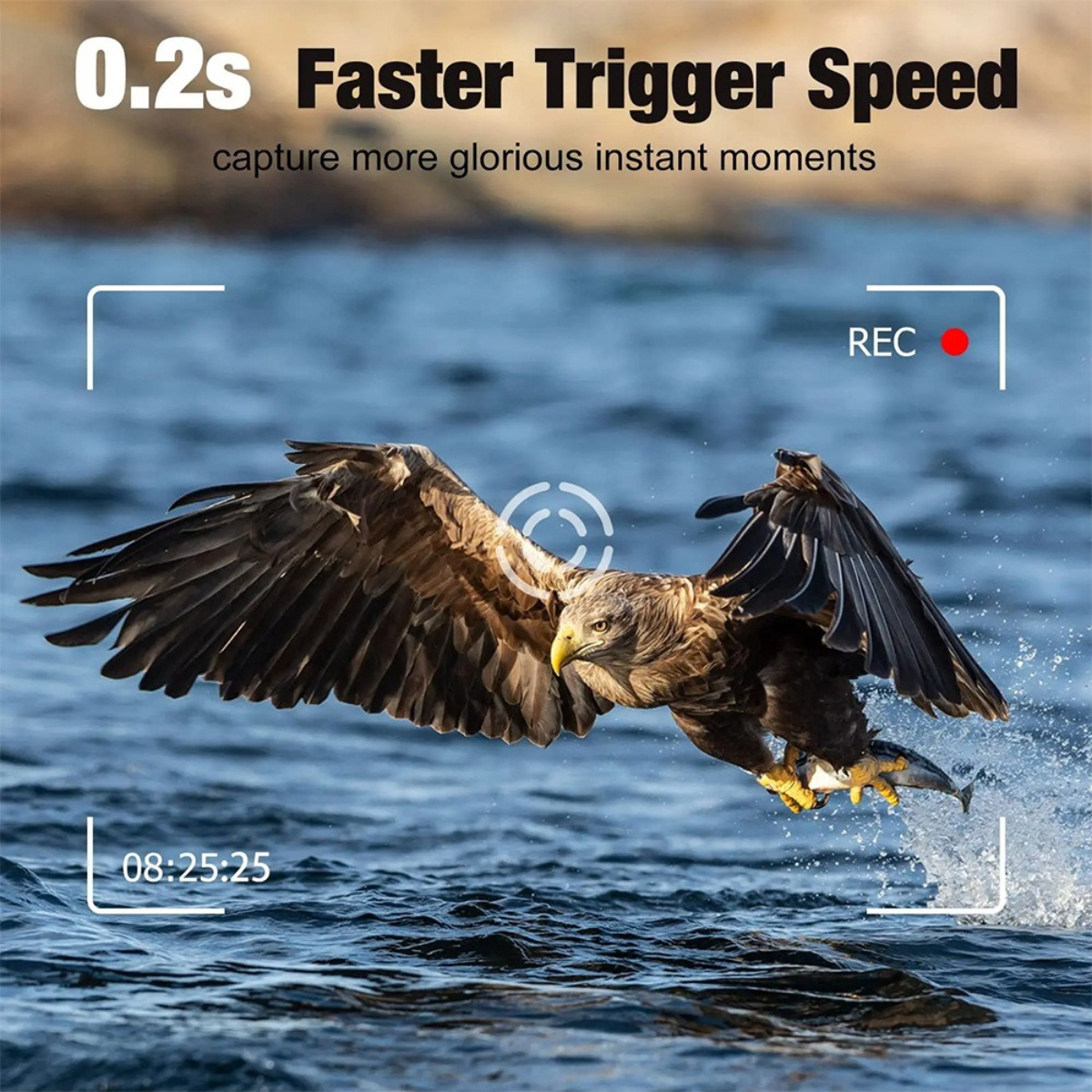 Ein Adler mit ausgebreiteten Flügeln, der einen Fisch hält, über Wasser fliegend. Text zeigt 0,2 s Auslösegeschwindigkeit.