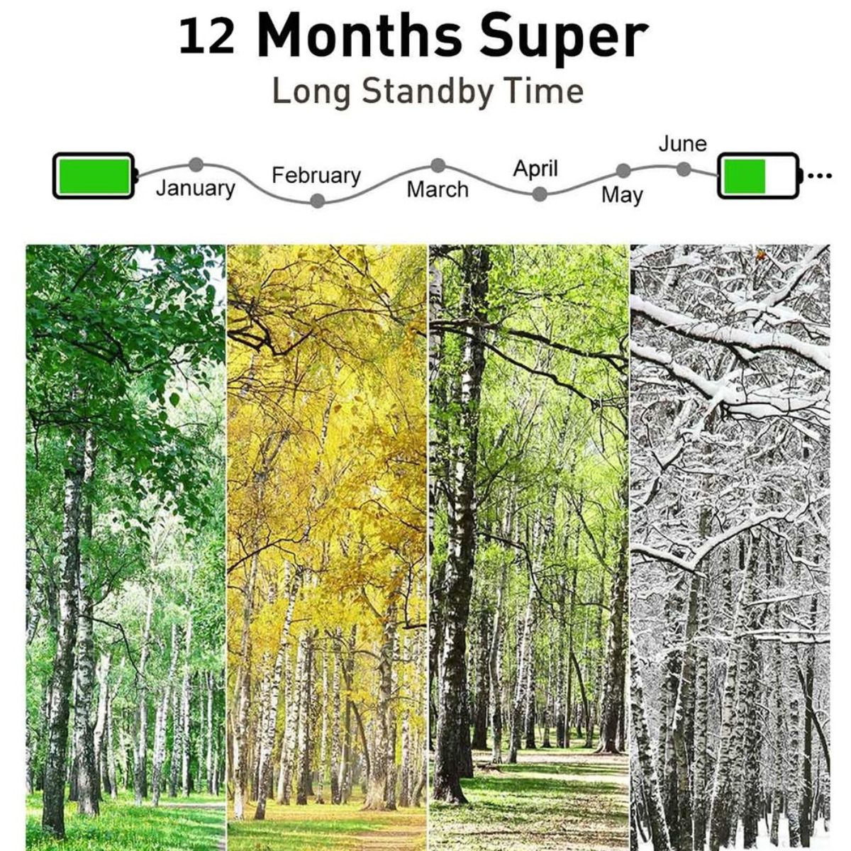 Das Bild zeigt ein Batteriesymbol und vier Jahreszeitenbilder: Frühling, Sommer, Herbst, Winter.