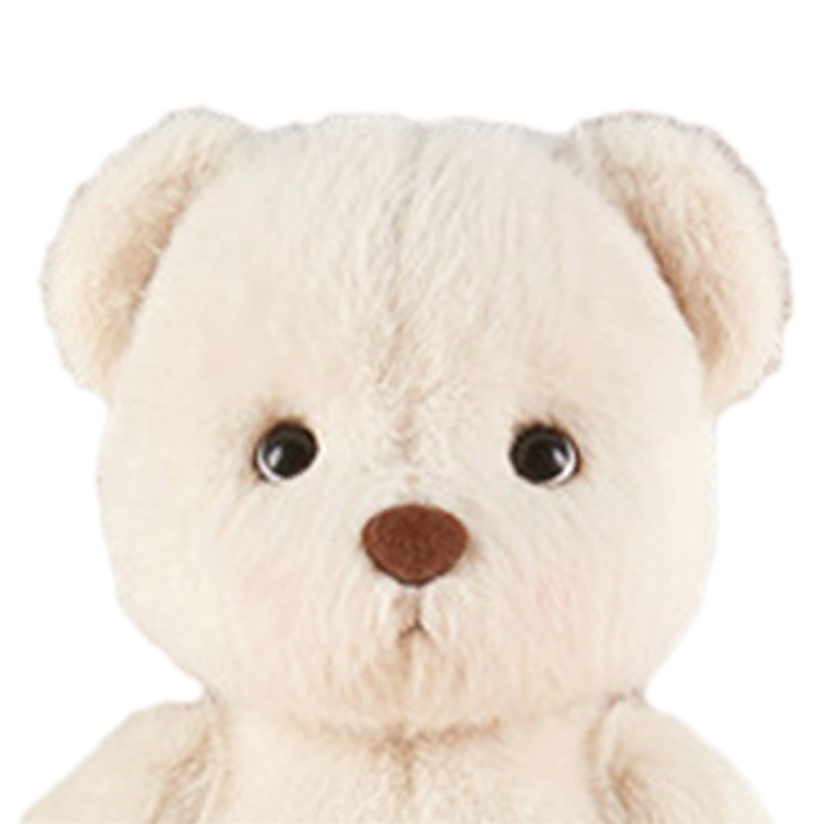 Cremefarbener Teddybär. Weiches Fell, braune Nase, schwarze Augen und weißer Hintergrund.
