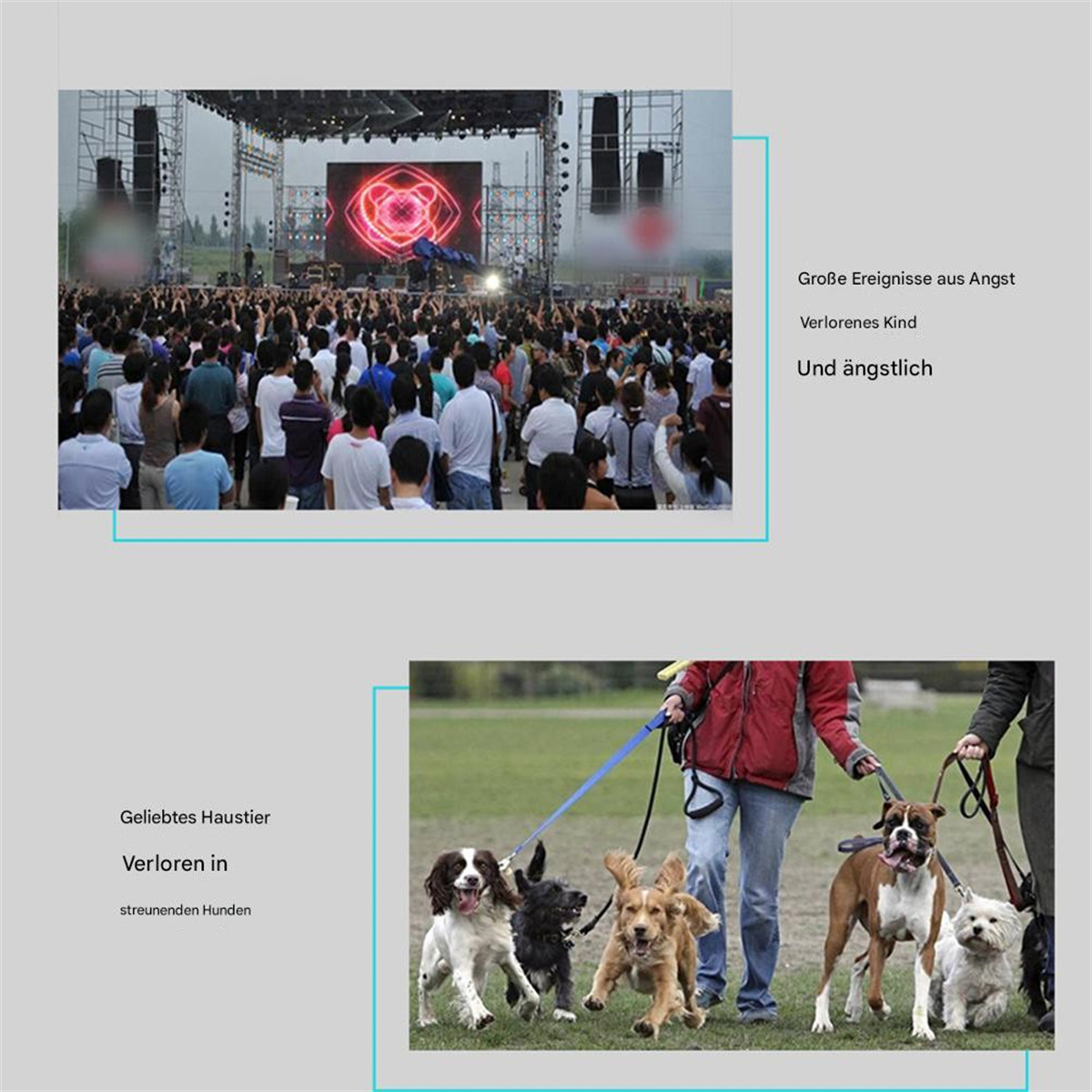 Zwei Bilder: Eine Menschenmenge auf einem Konzert & Menschen, die Hunde ausführen. Textbeschriftungen.