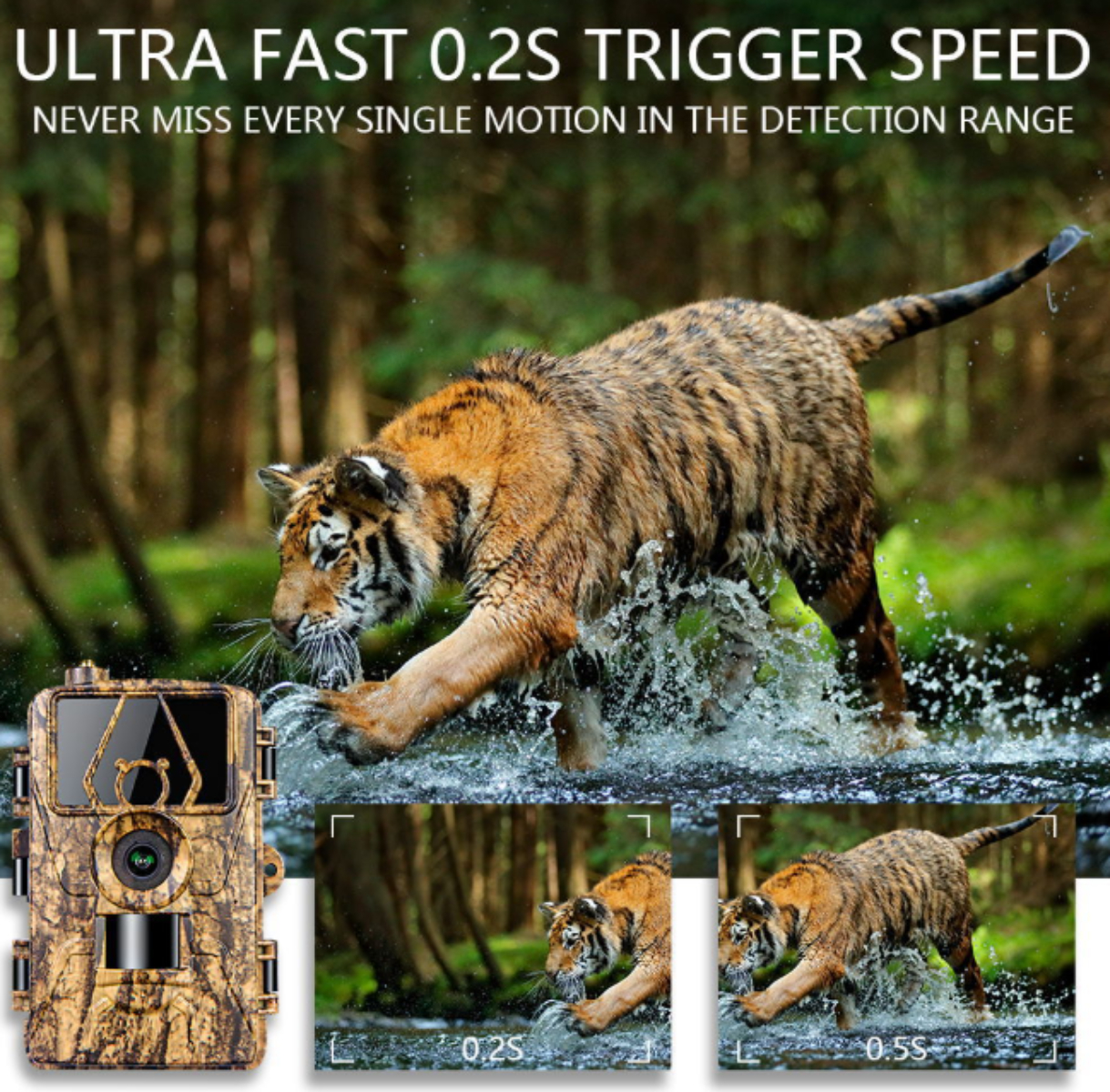 Tiger rennt durch Wasser, mit Kamera und Bildern, die Bewegungserkennung zeigen.