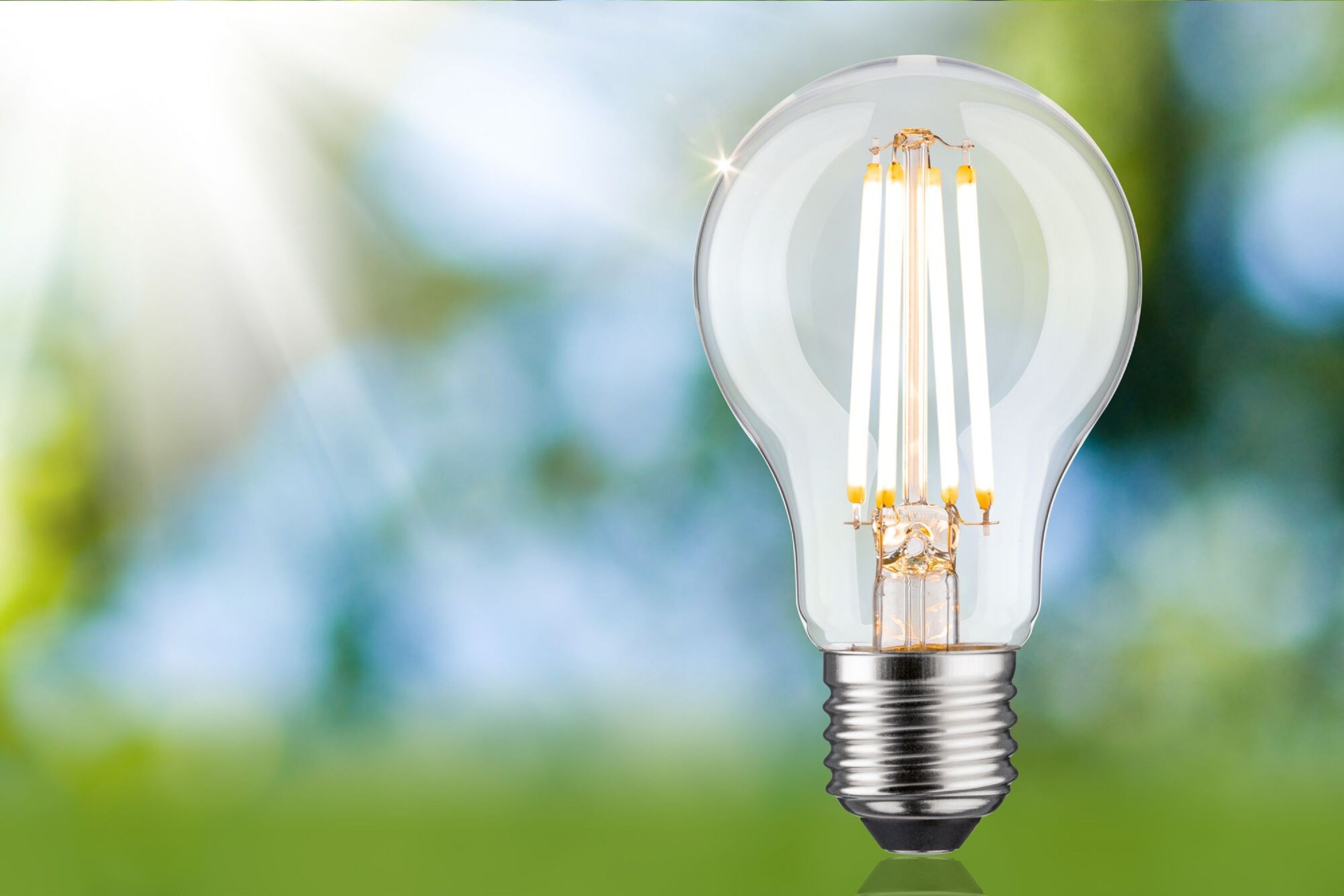 Klare Glühbirne mit LED-Filamenten, mit verschwommenem grünen Hintergrund, Sonnenlicht.